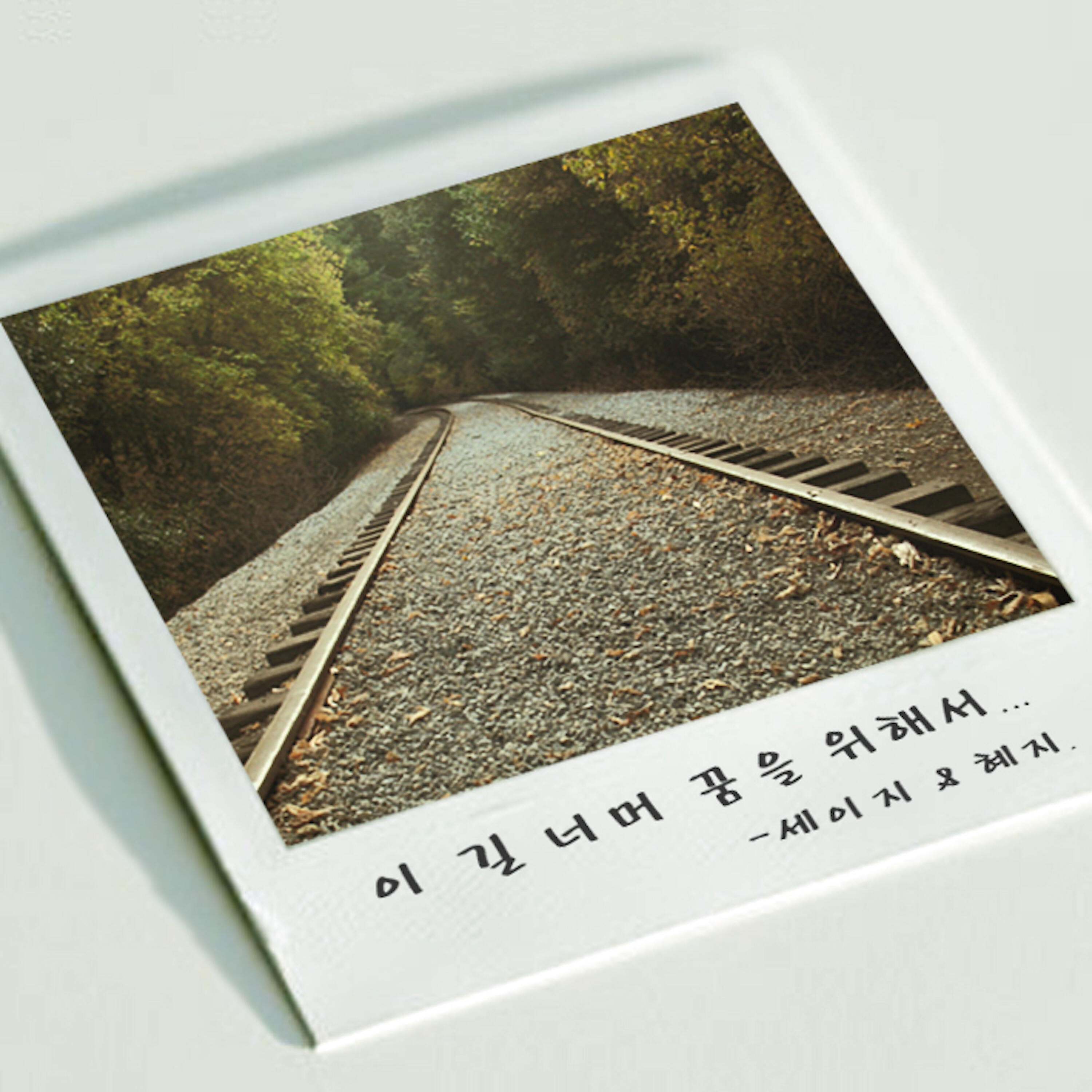 Track Image