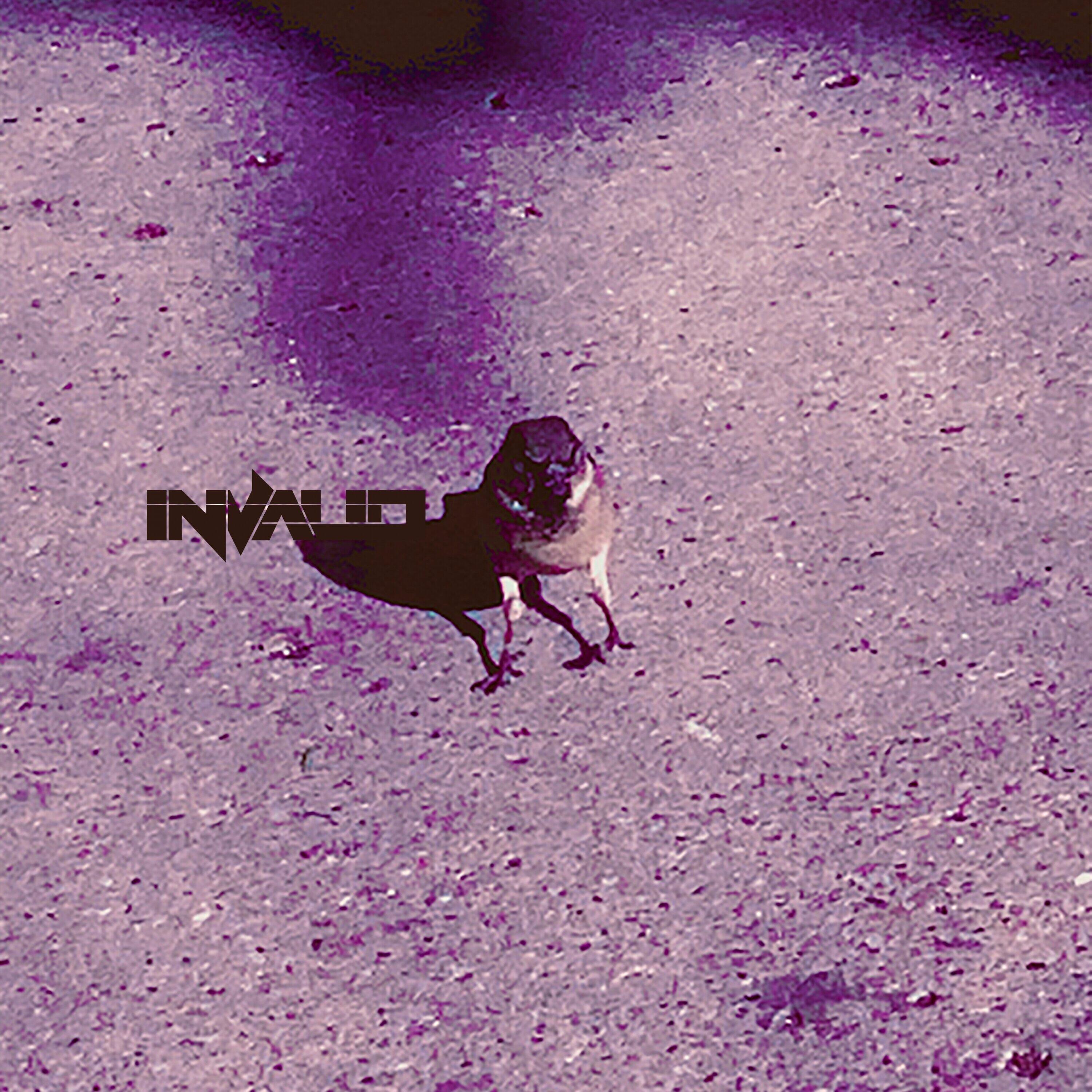 Track Image