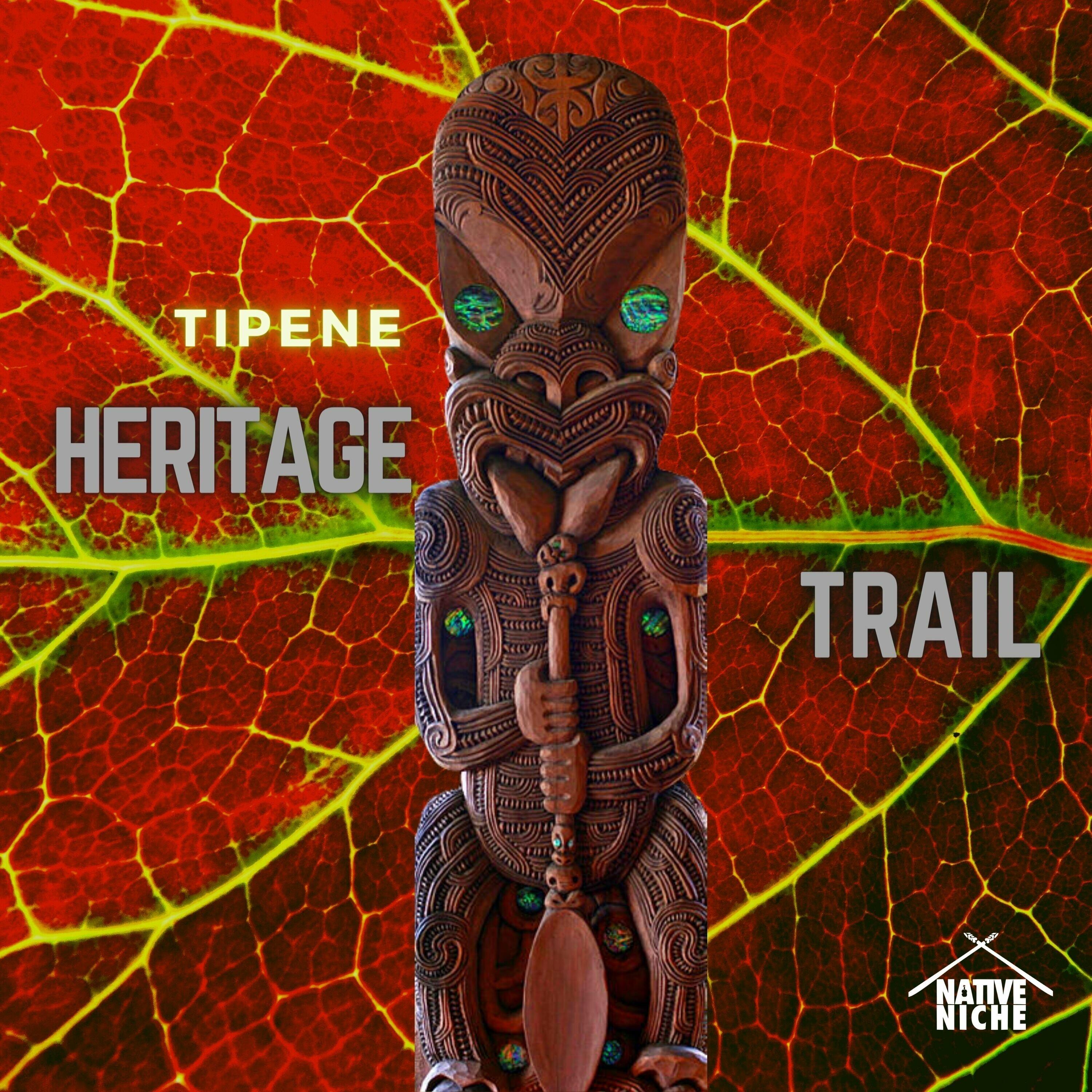 Track Image
