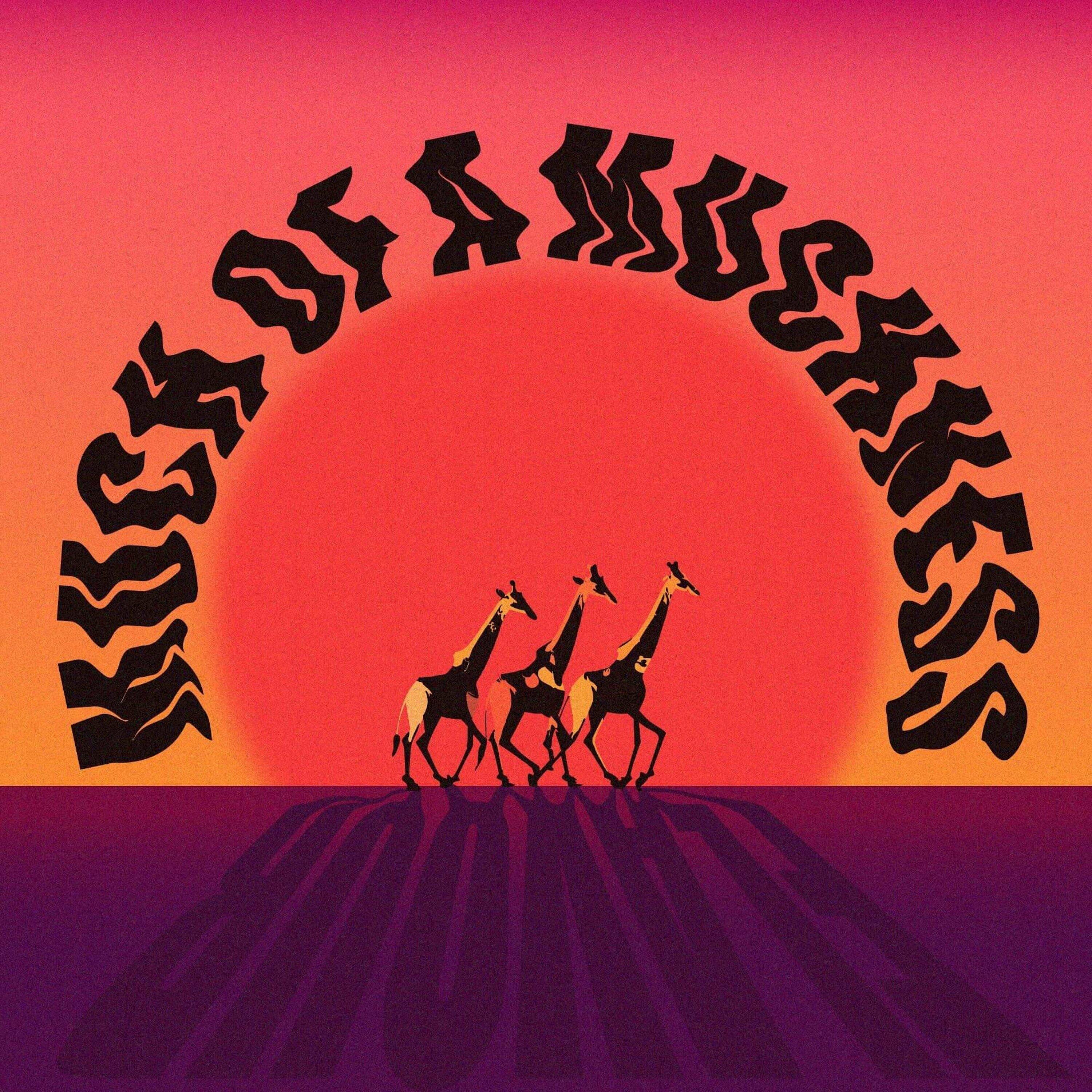 Track Image