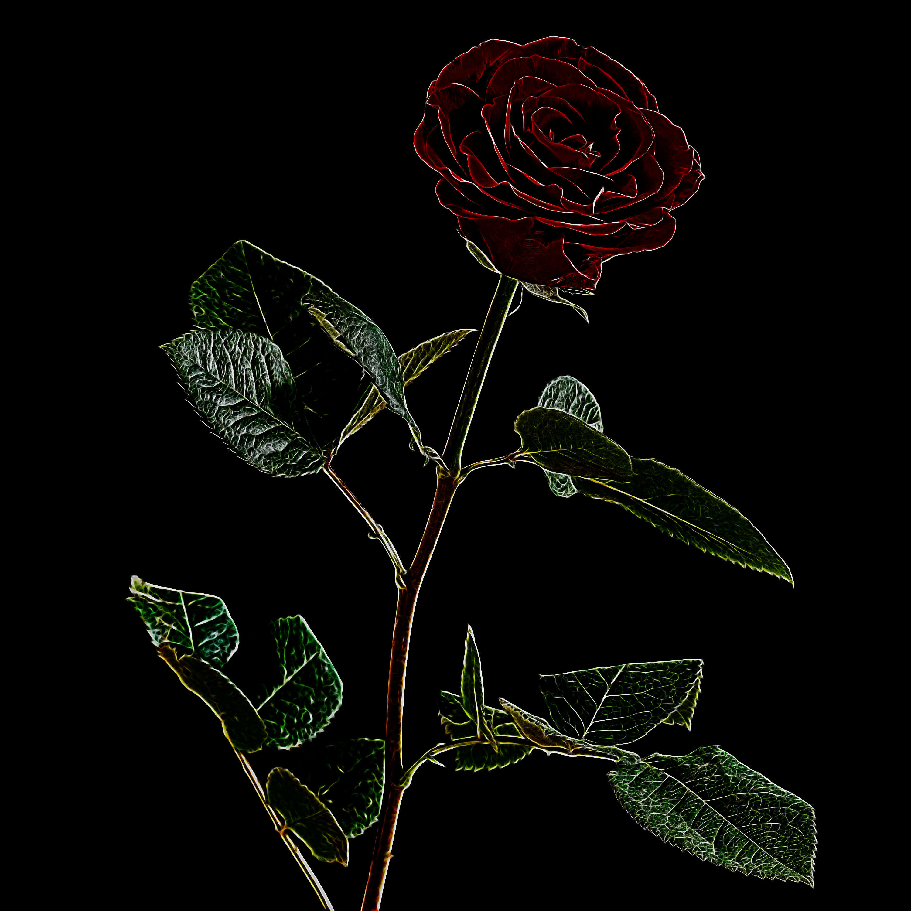 Track Image