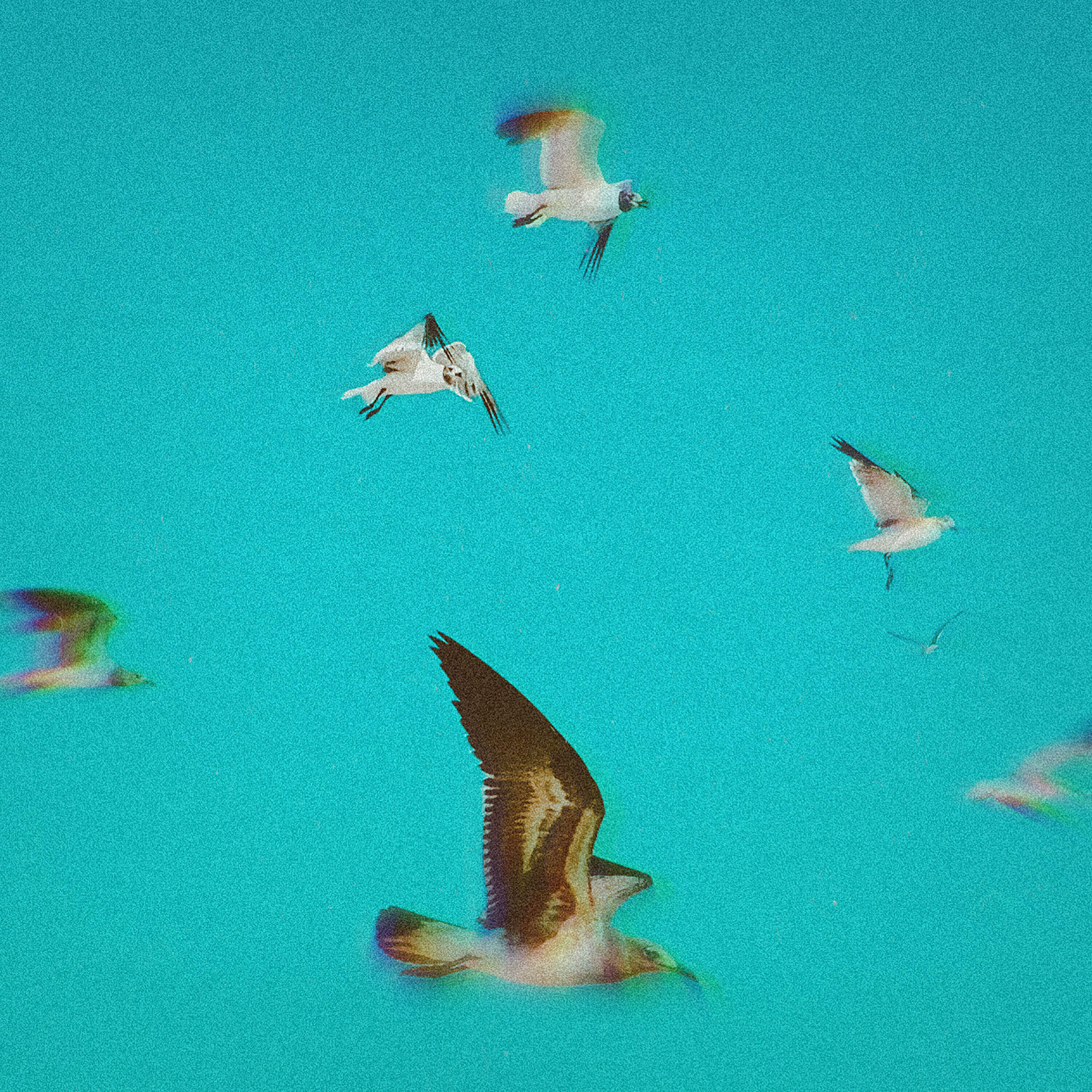 Track Image