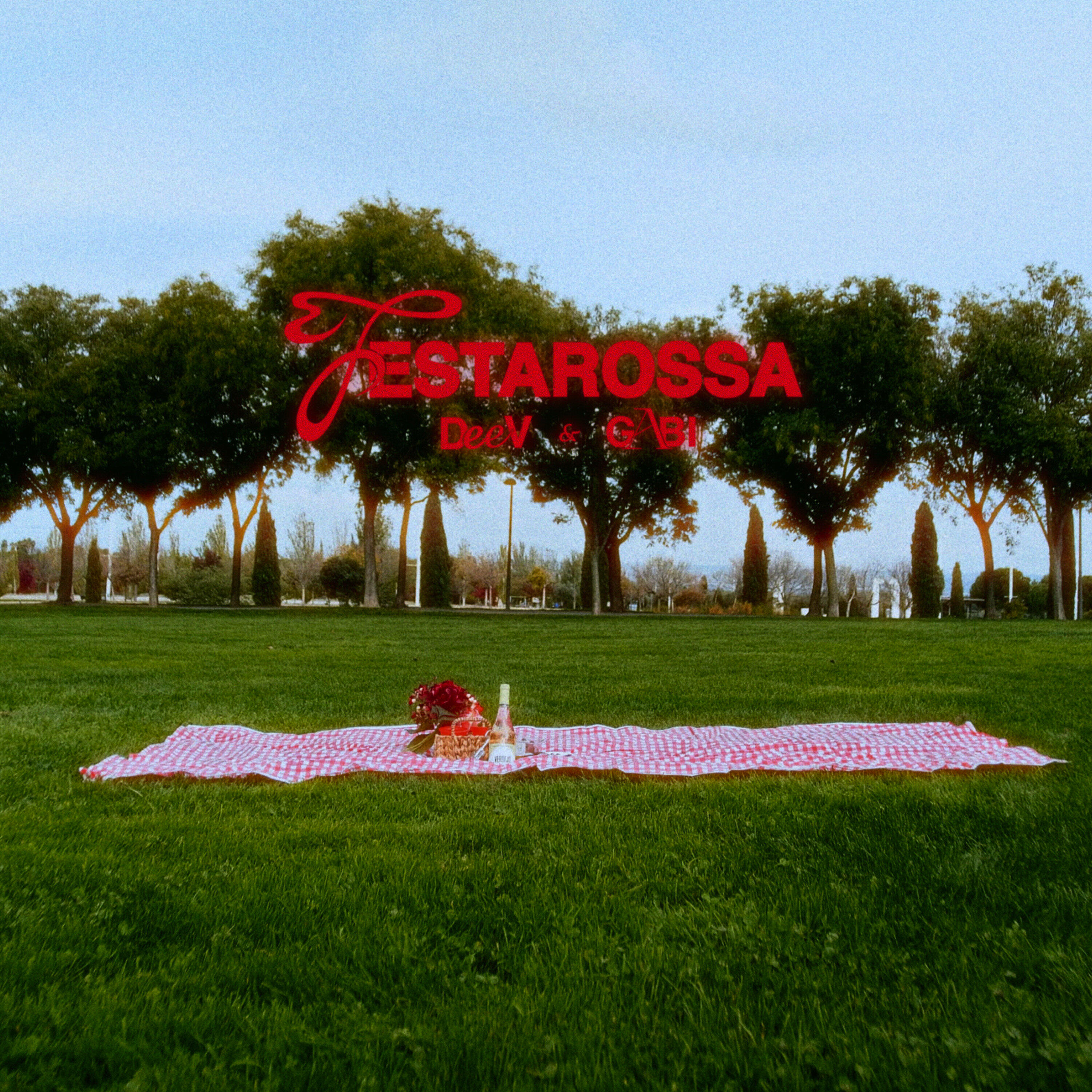 Track Image