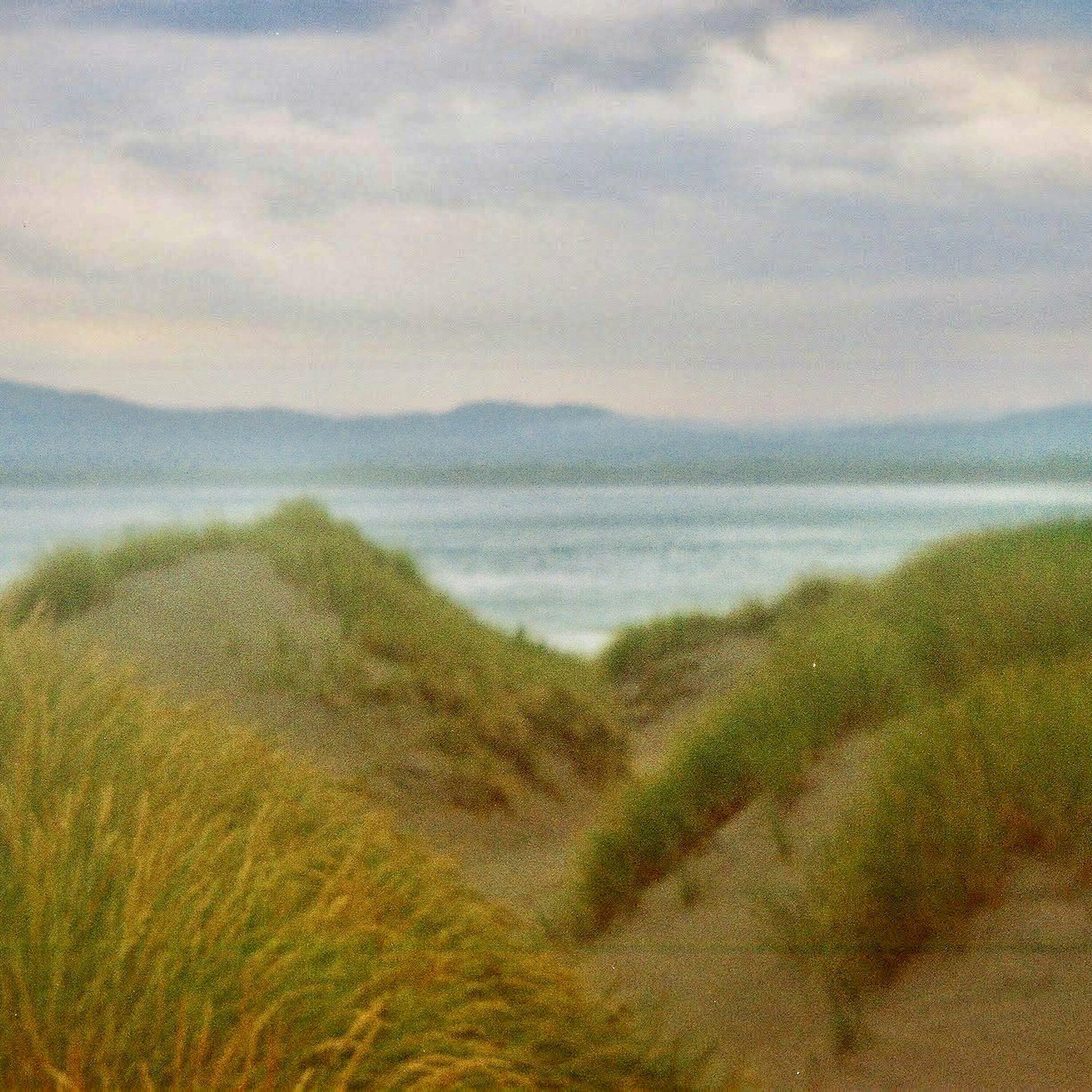 Track Image
