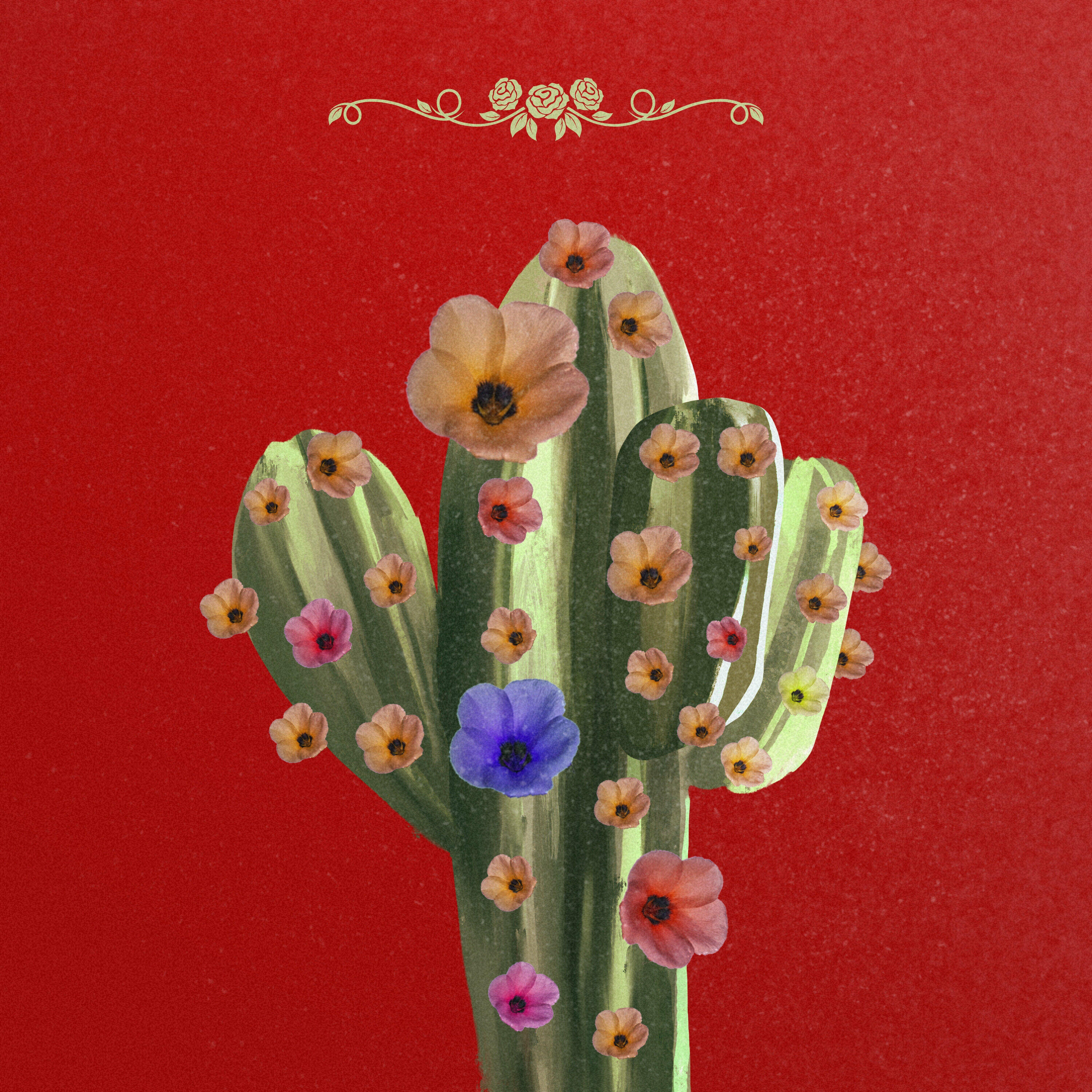 Track Image