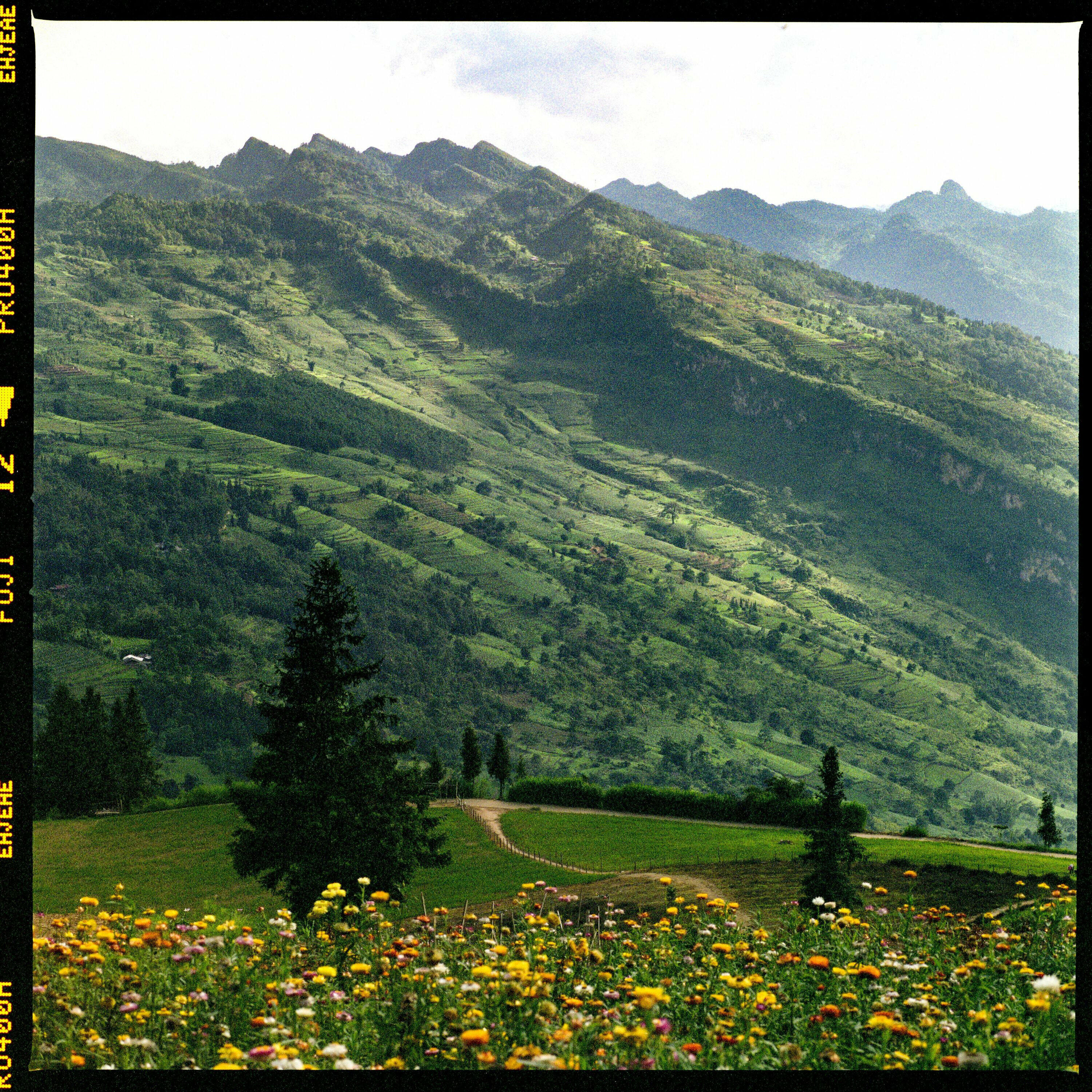 Track Image