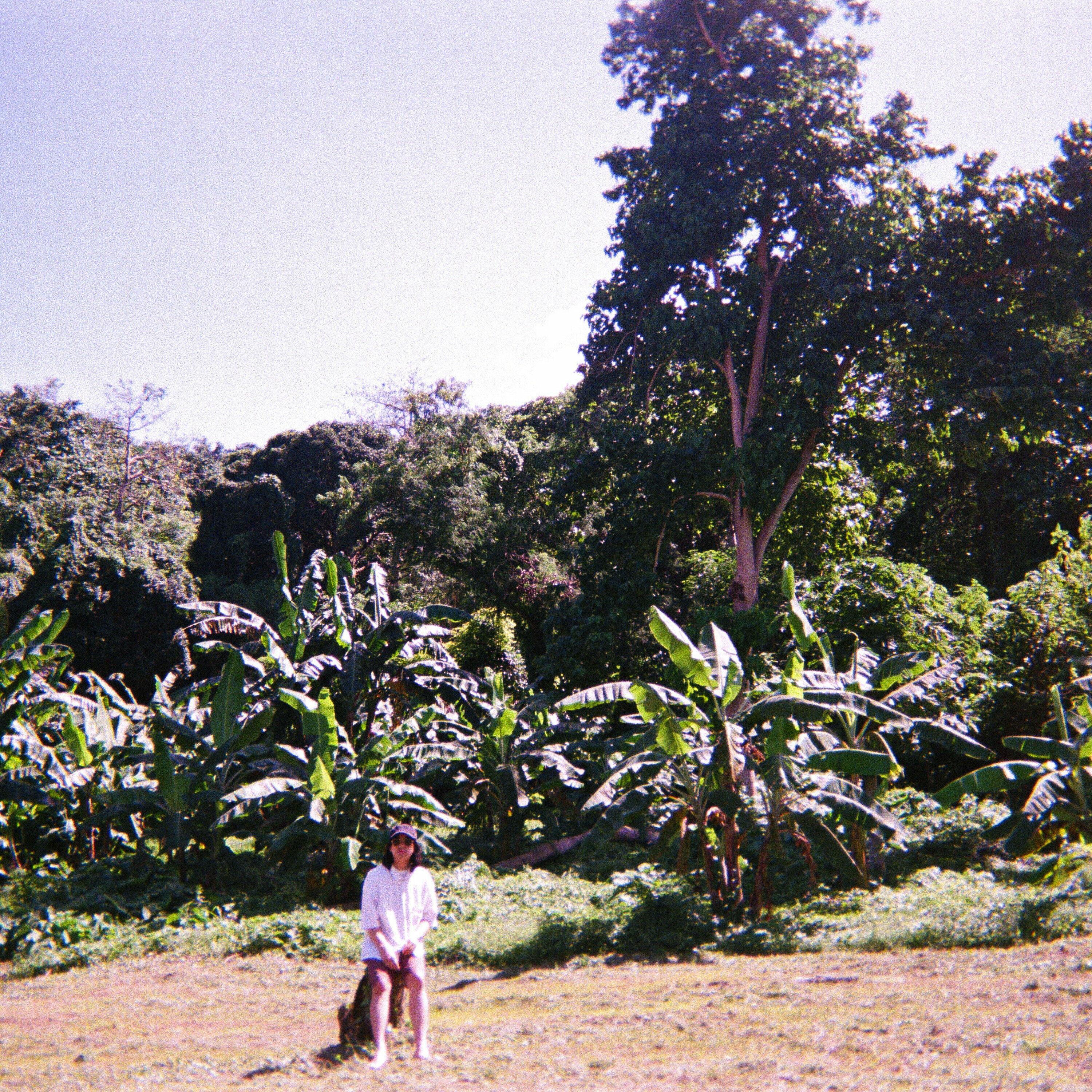 Track Image