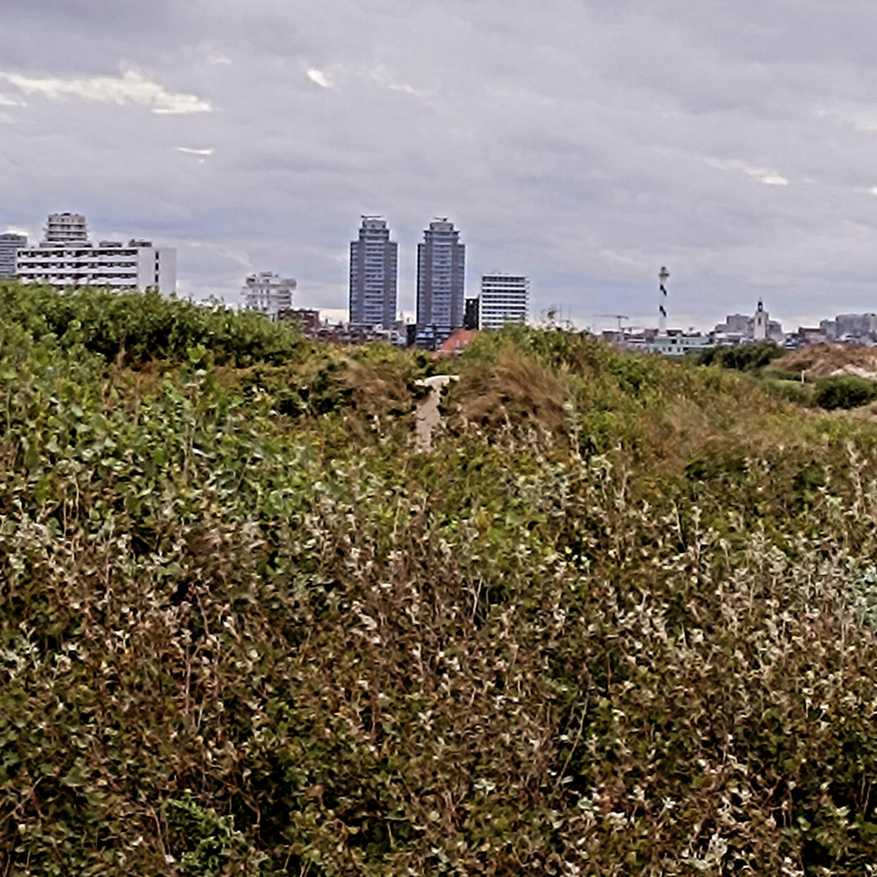 Track Image