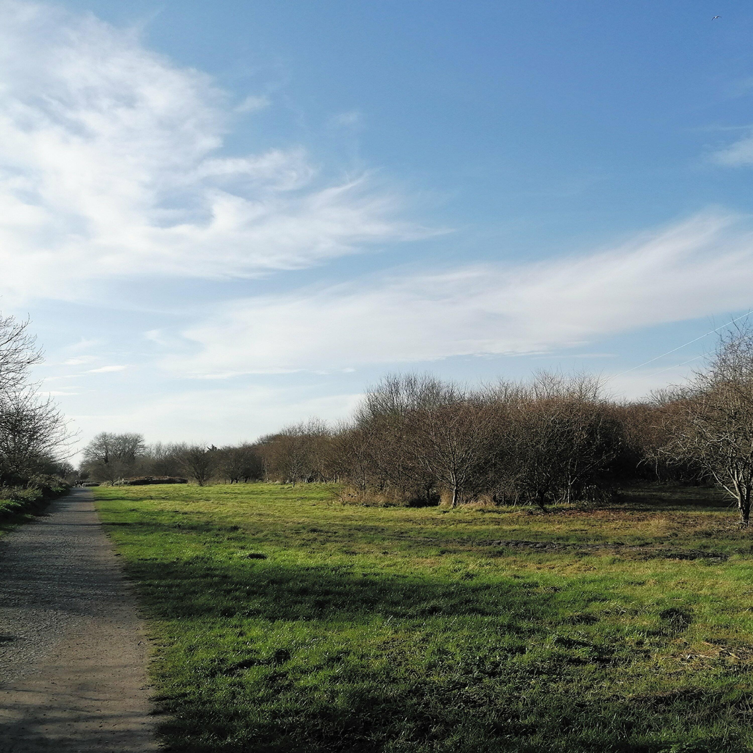 Track Image