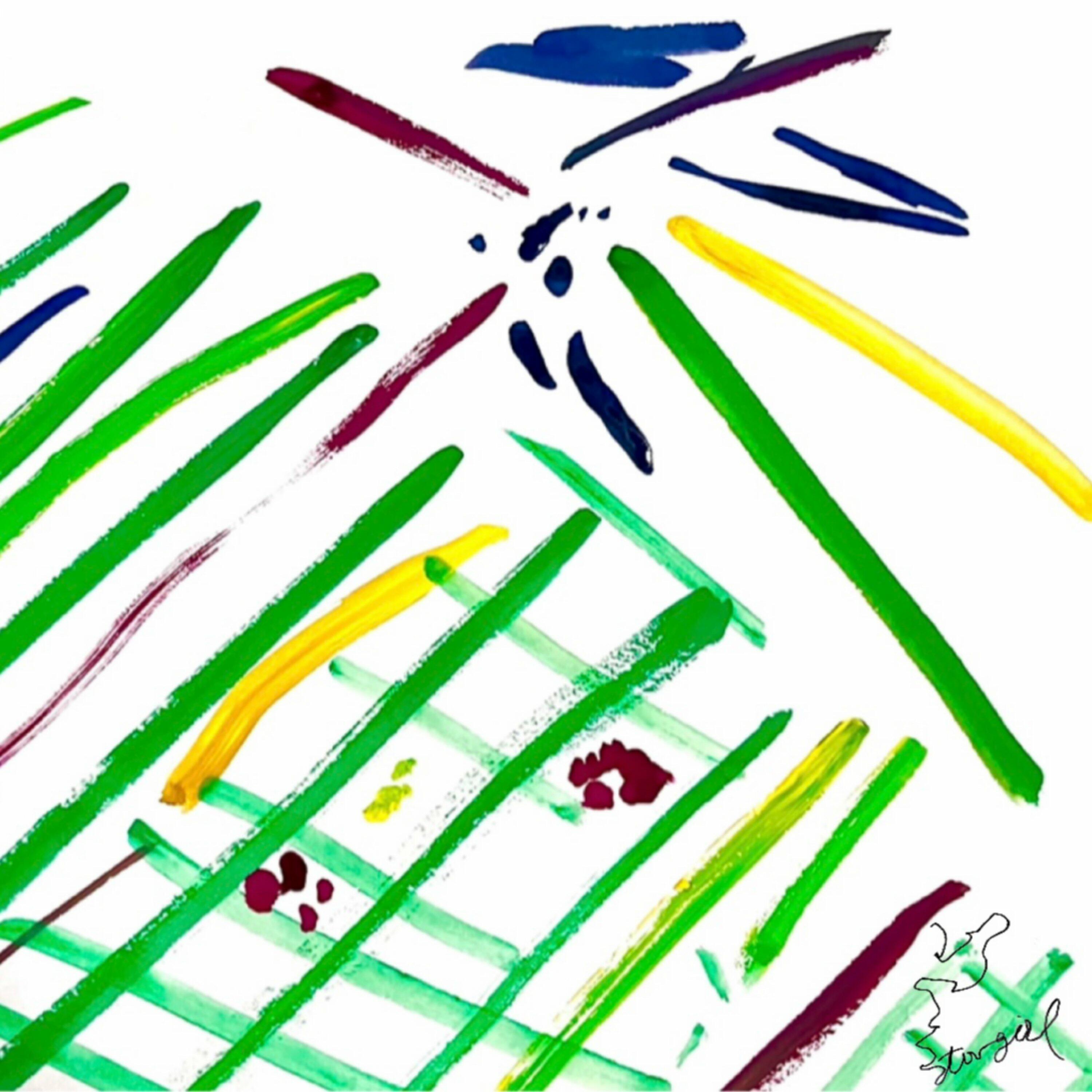 Track Image