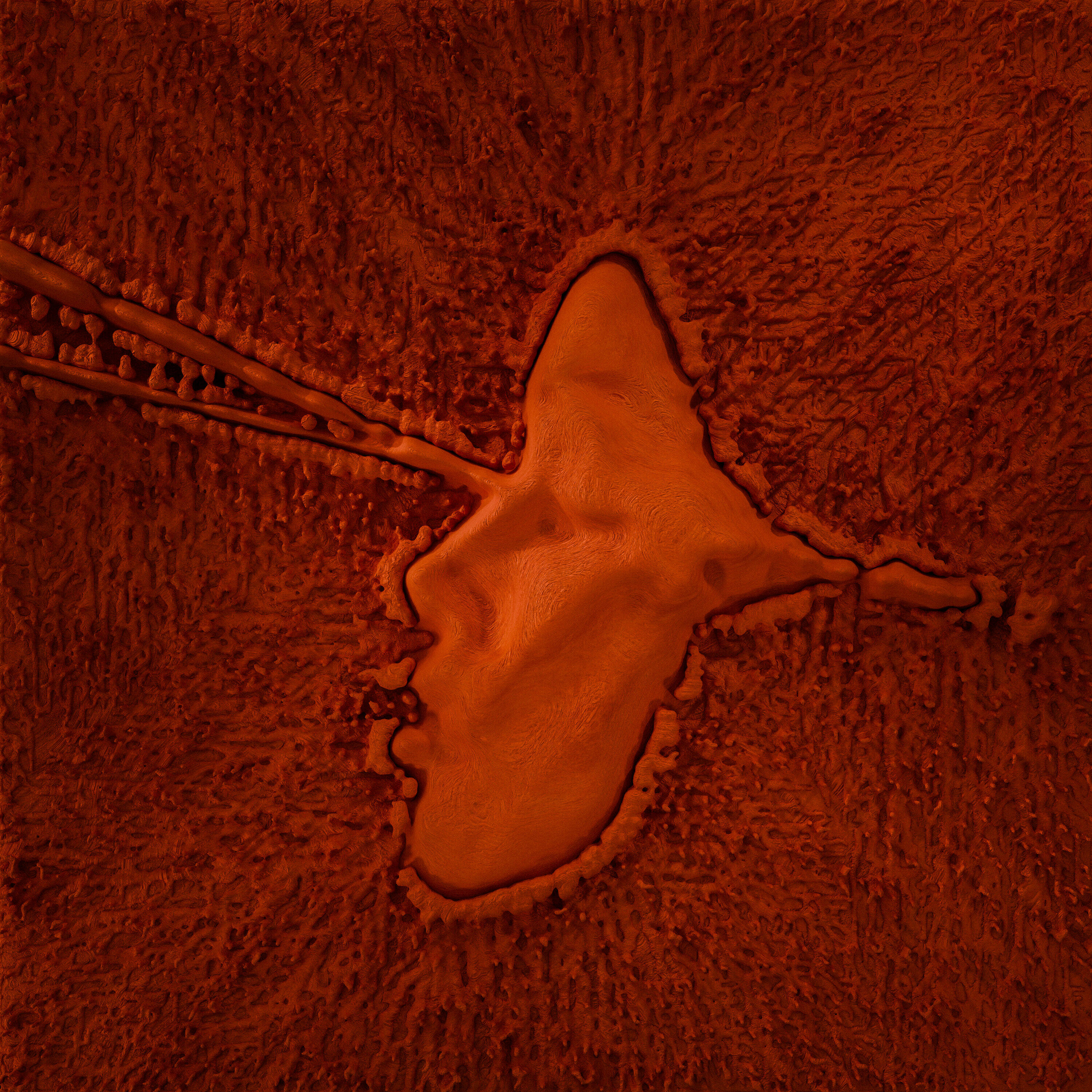 Track Image