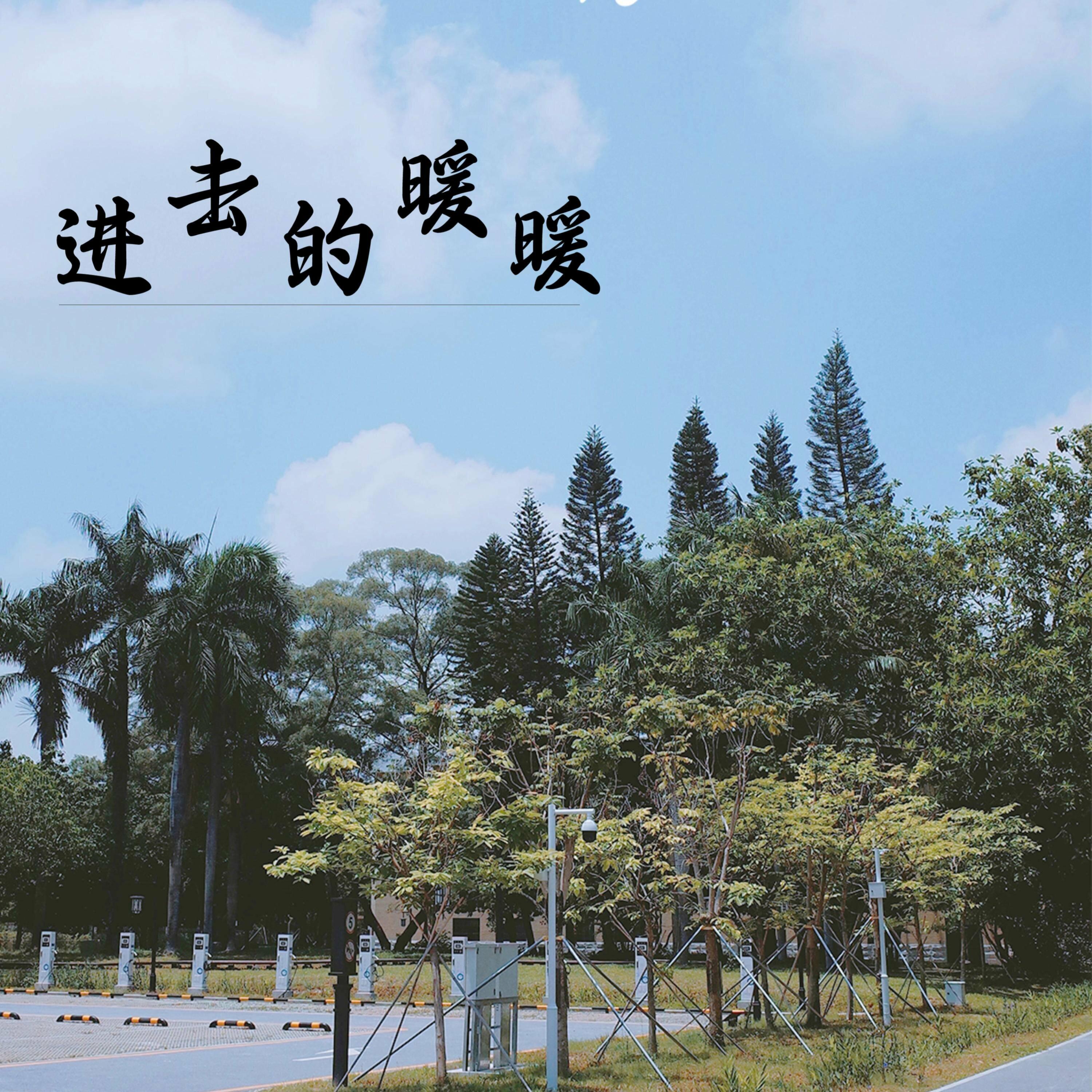 Track Image