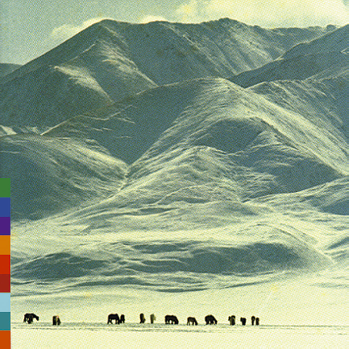 Track Image