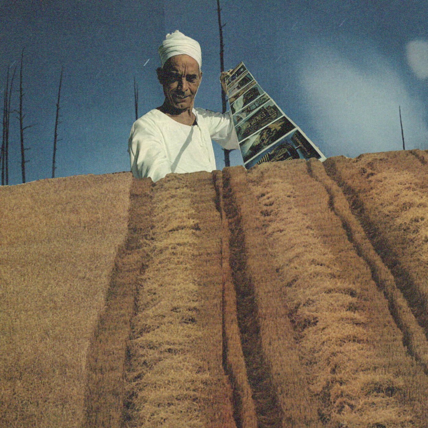 Track Image