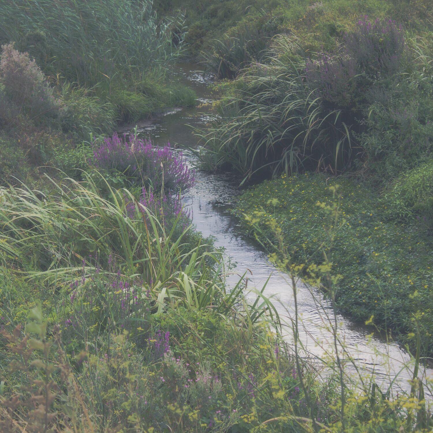 Track Image
