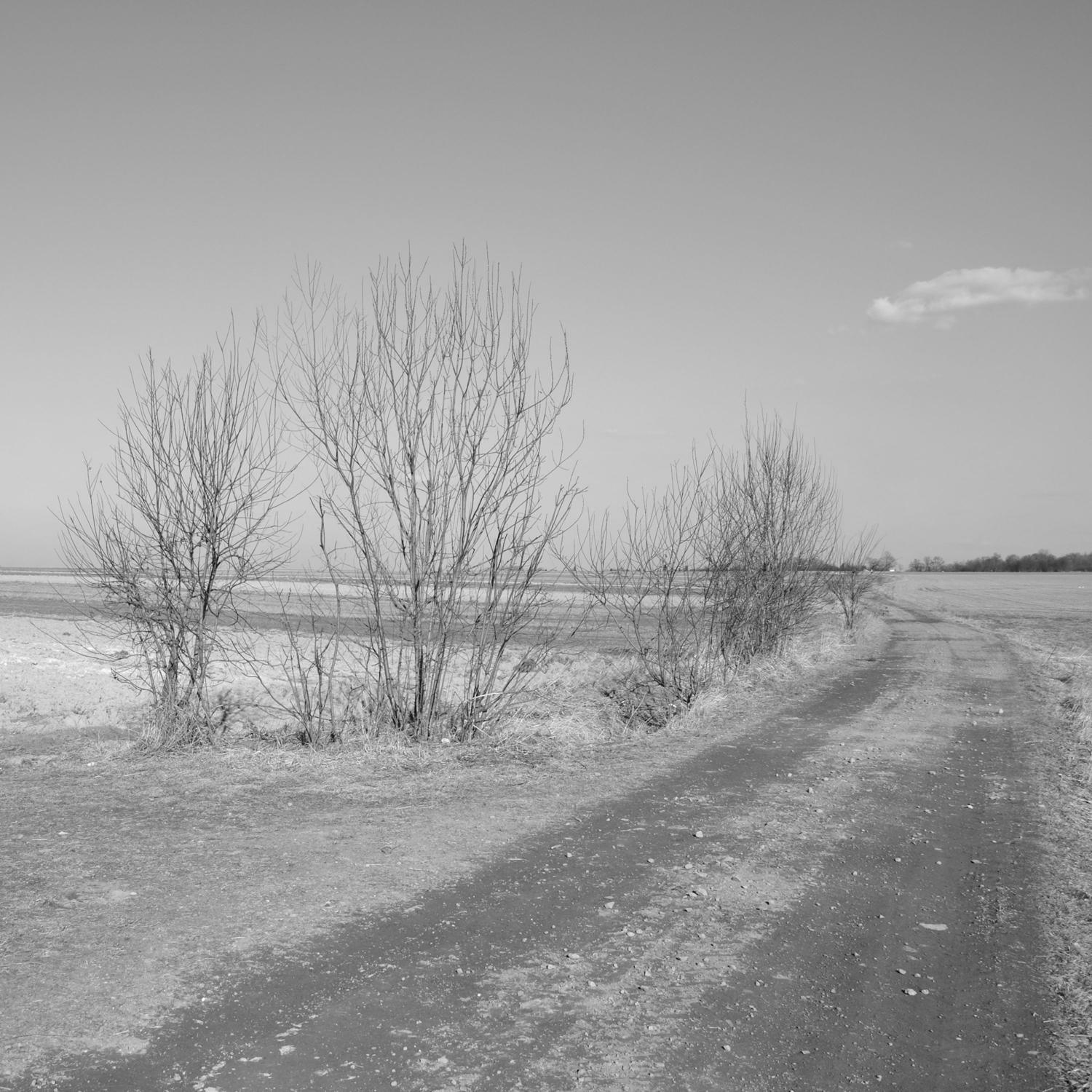 Track Image