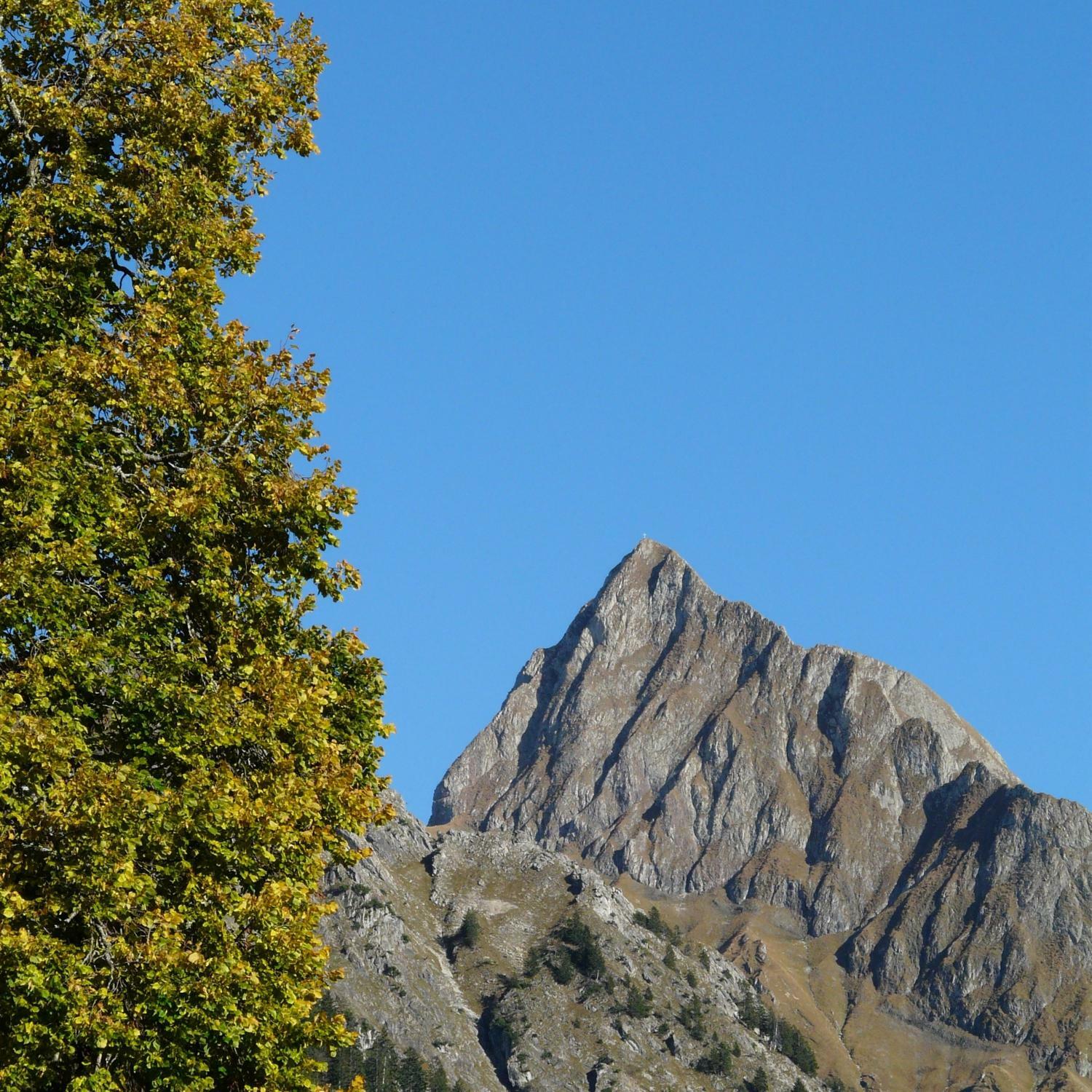 Track Image