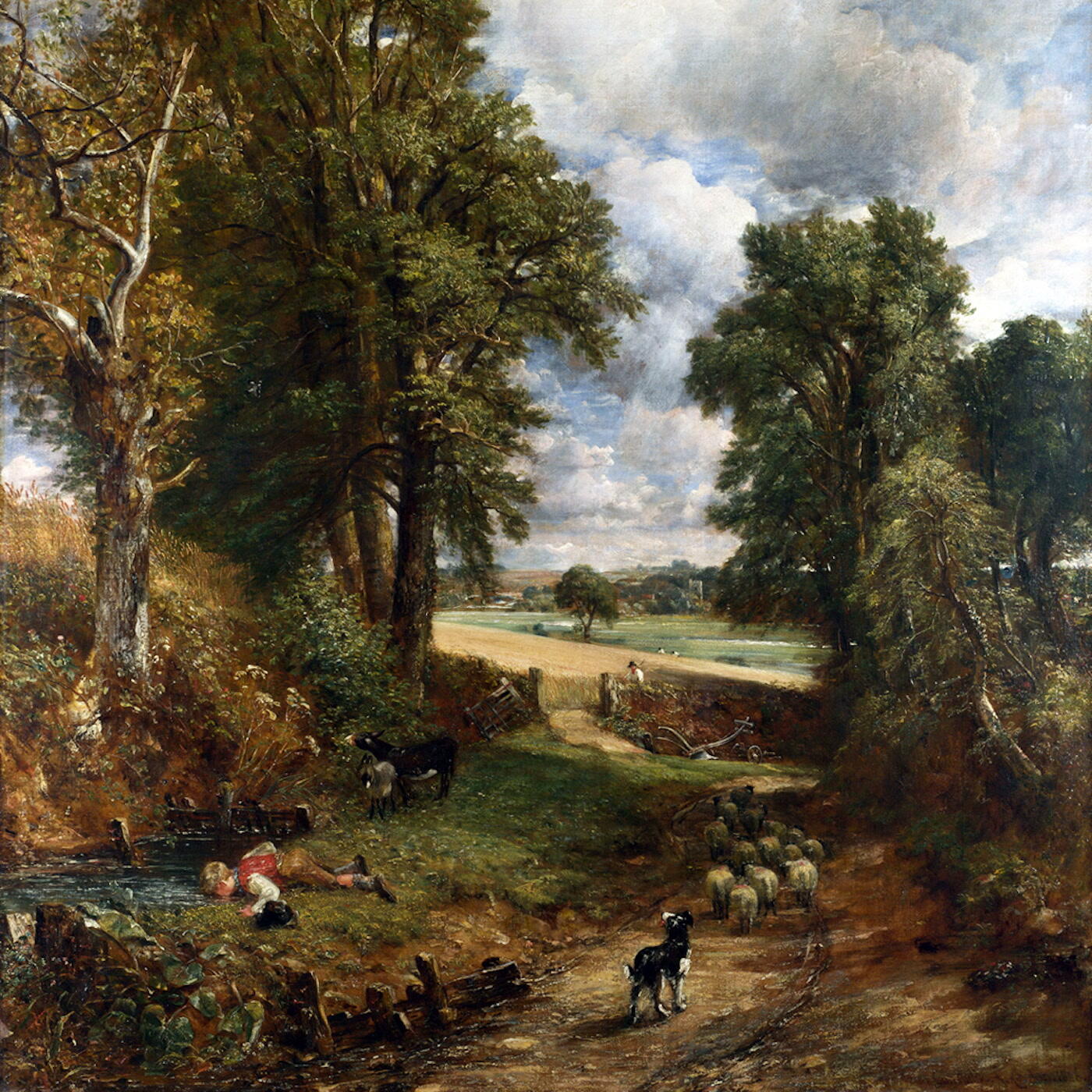 Track Image
