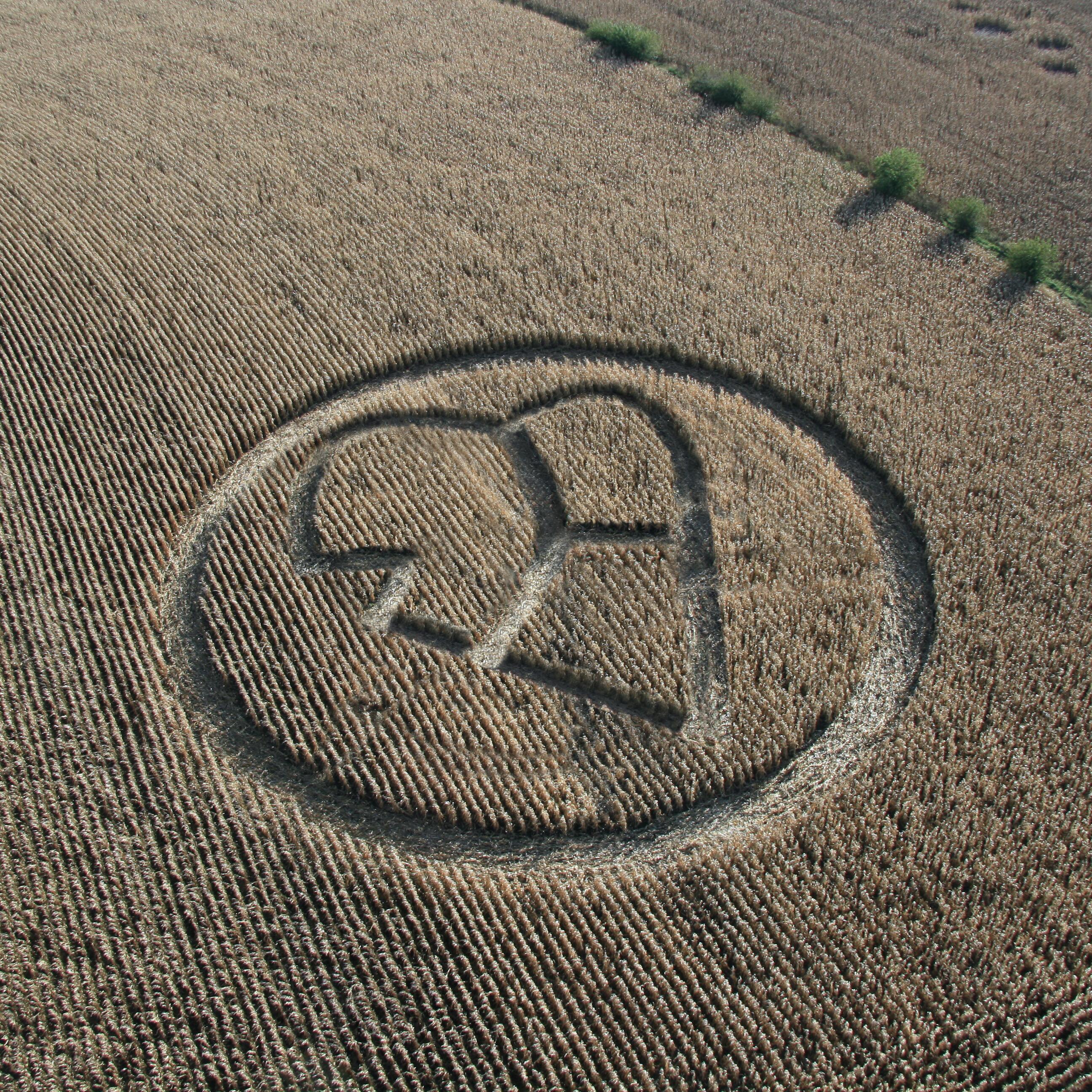 Track Image