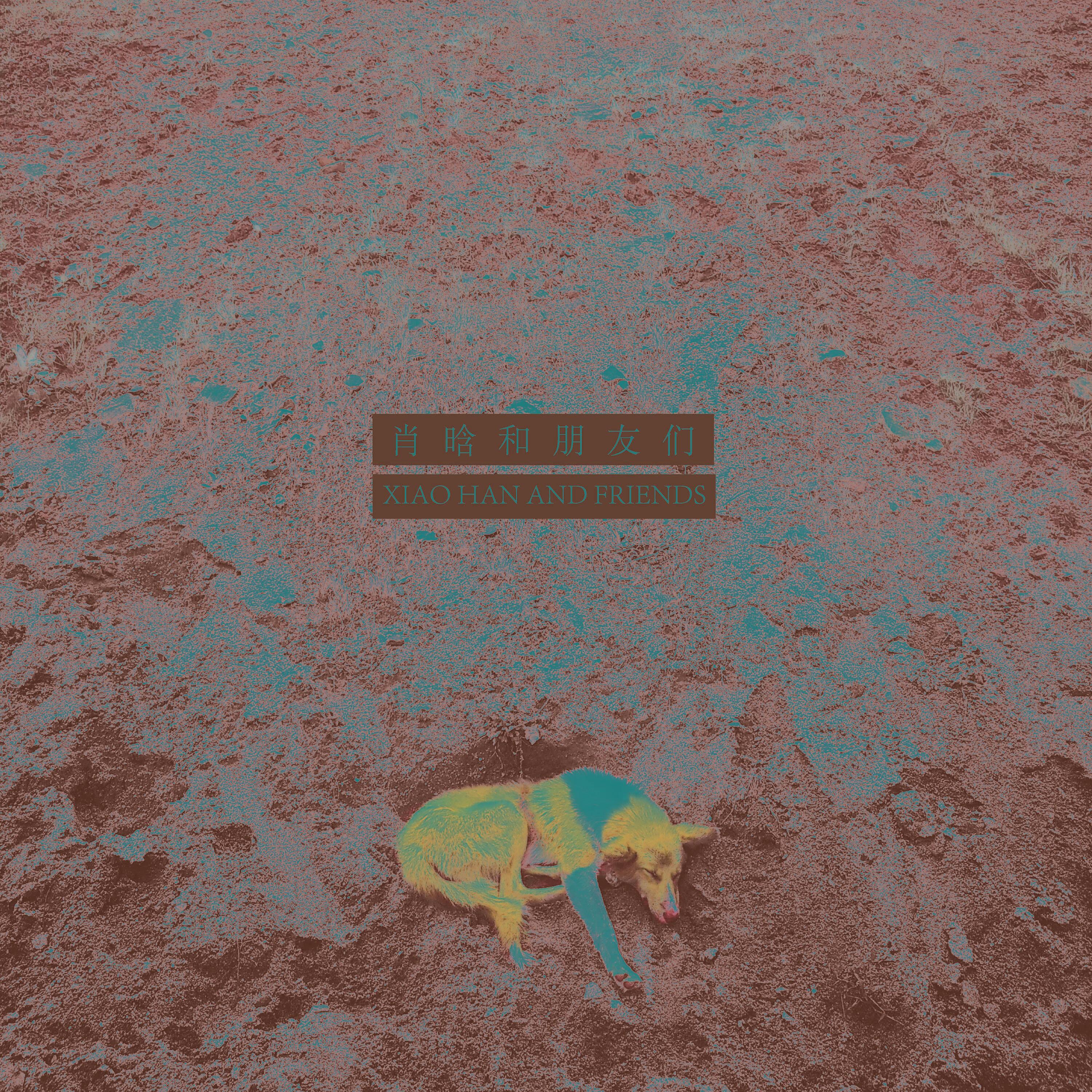 Track Image