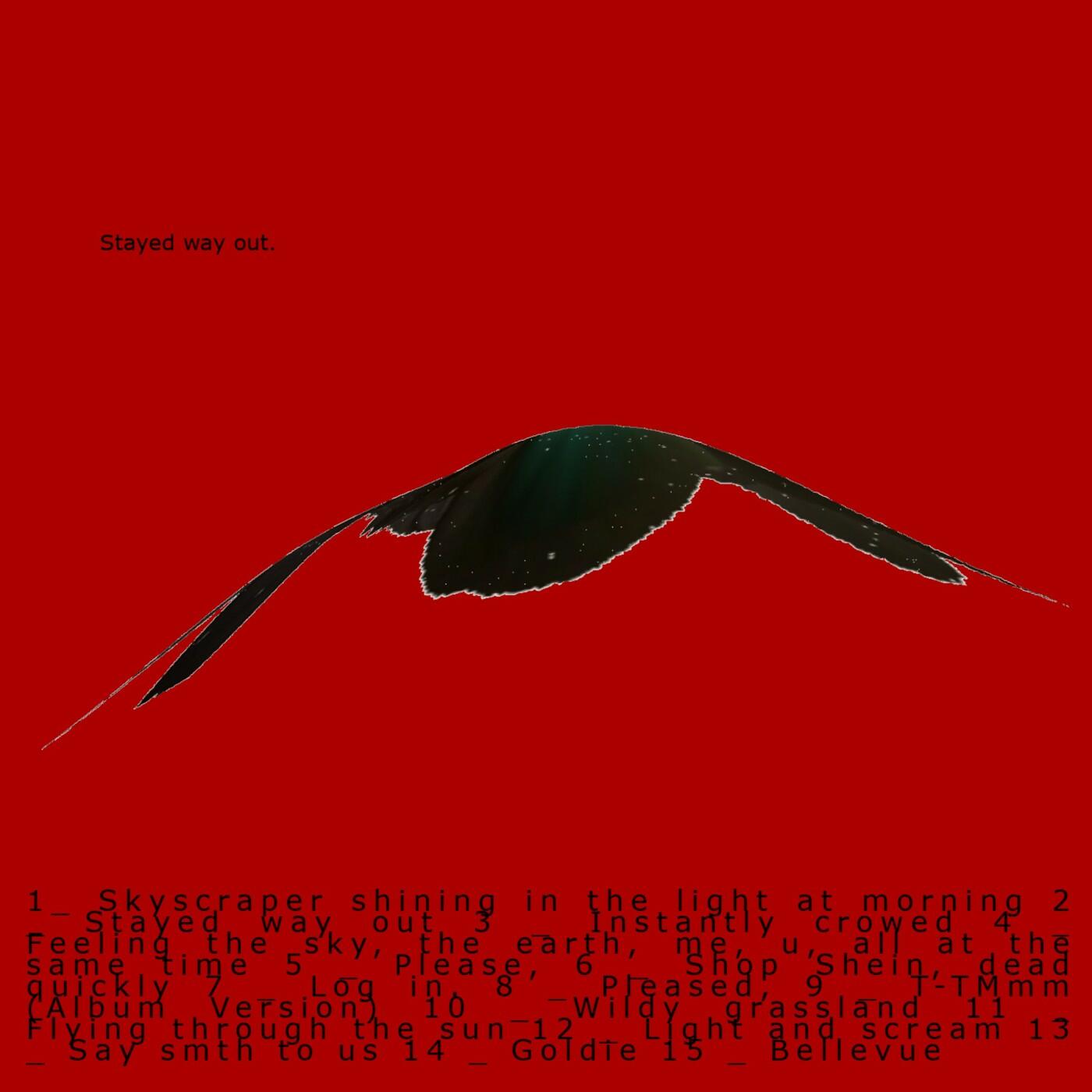 Track Image