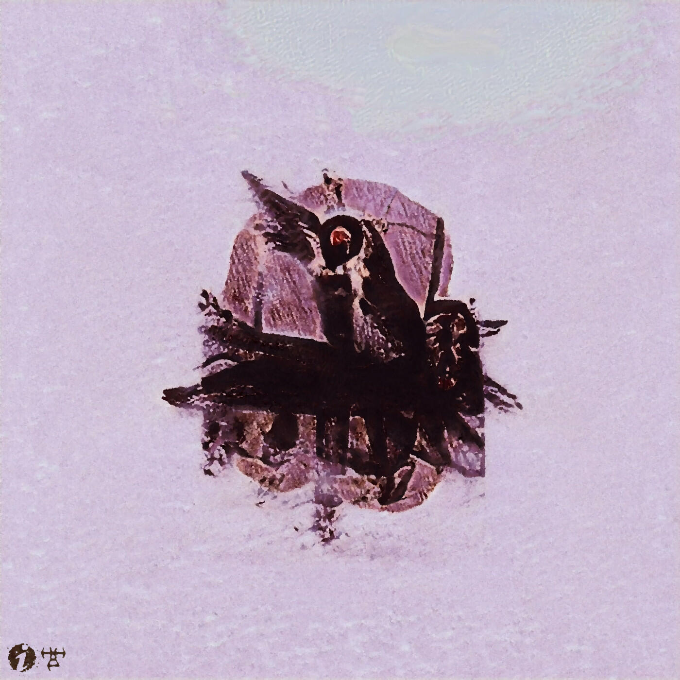 Track Image