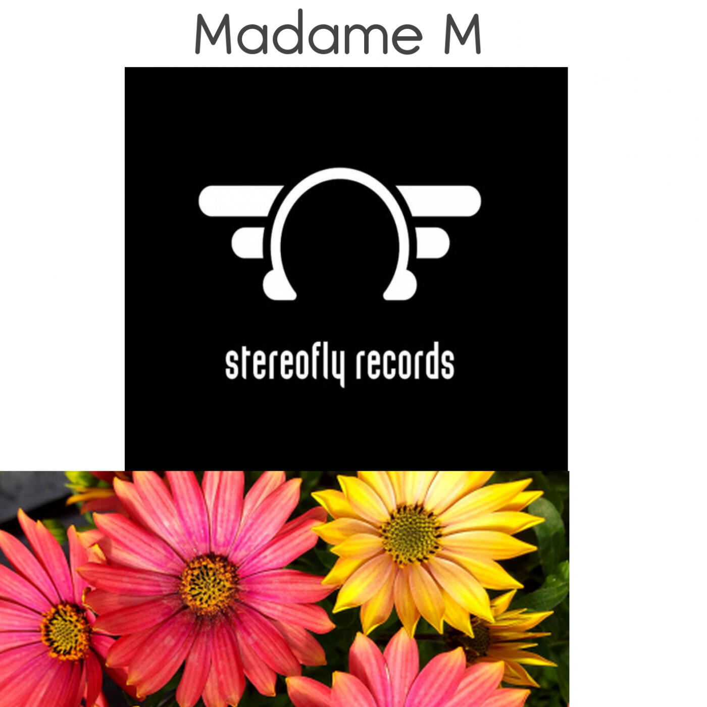 Track Image