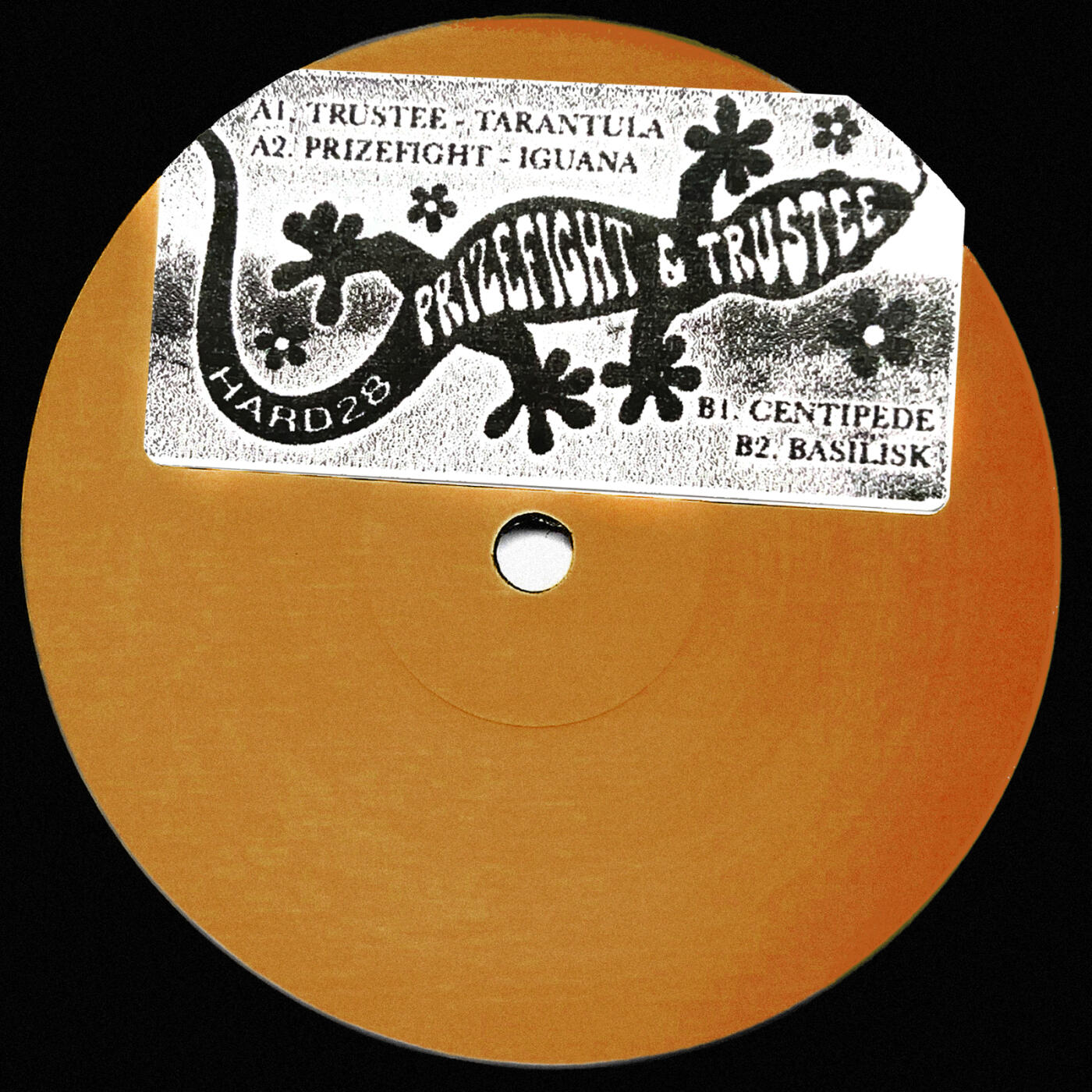 Track Image