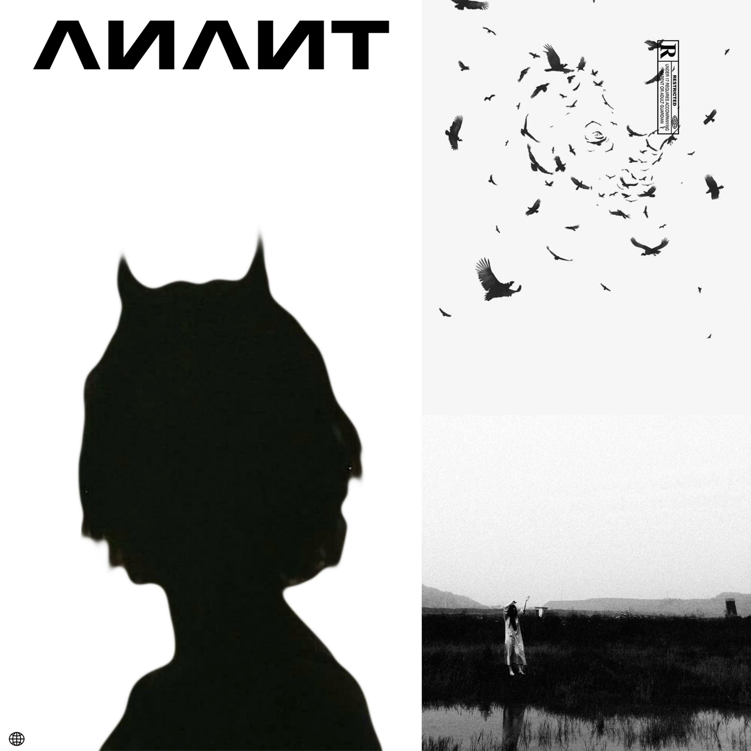 Track Image