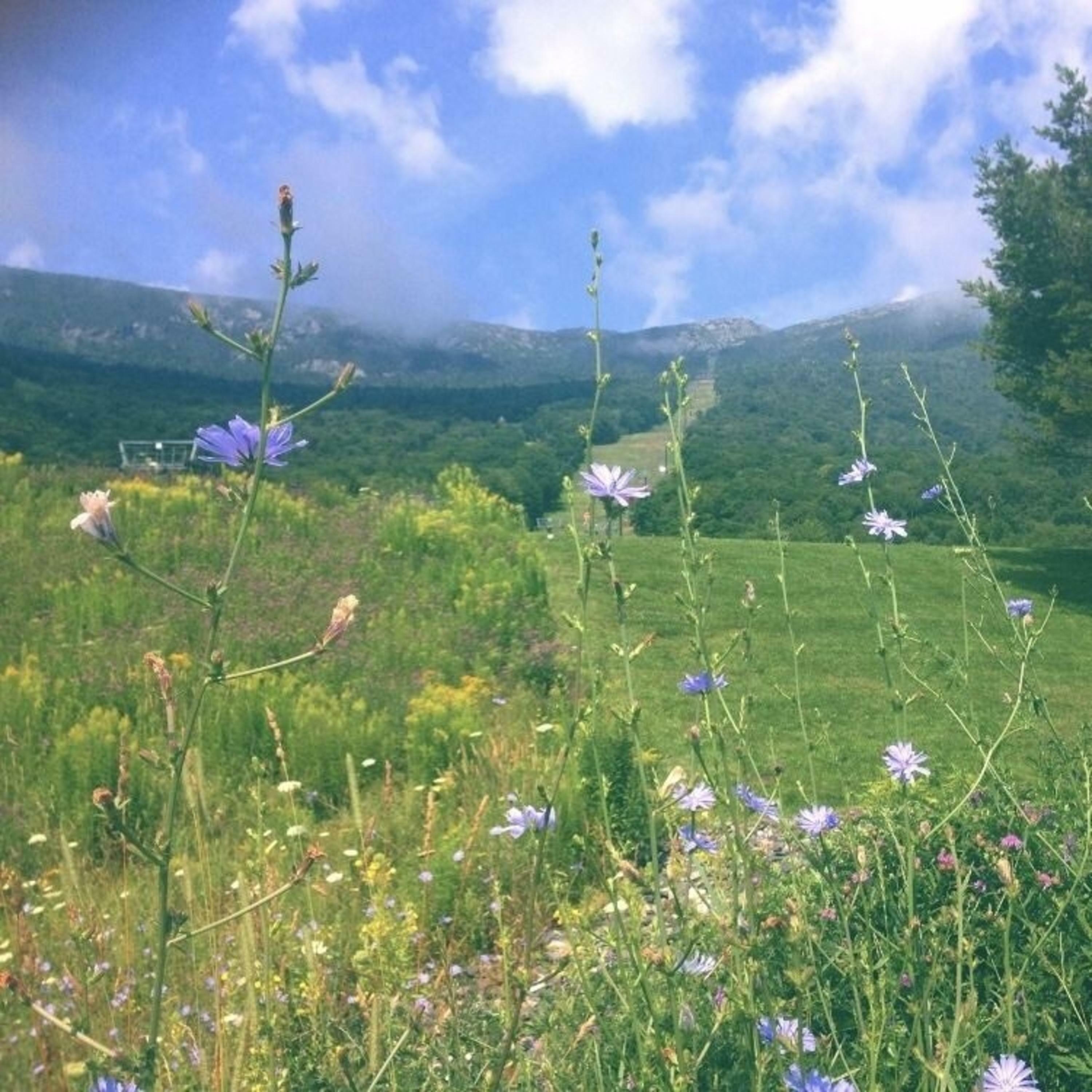 Track Image