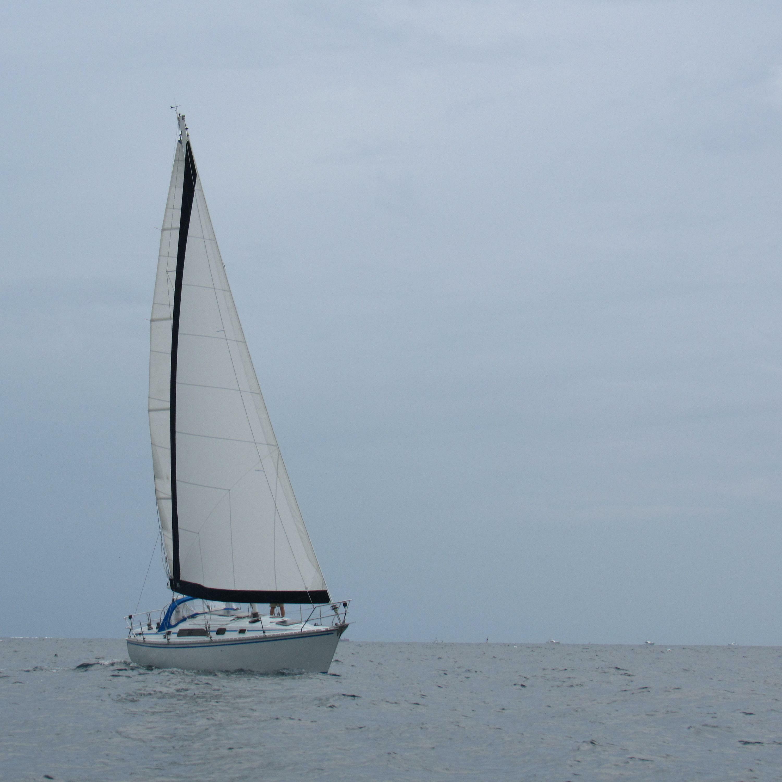 Track Image