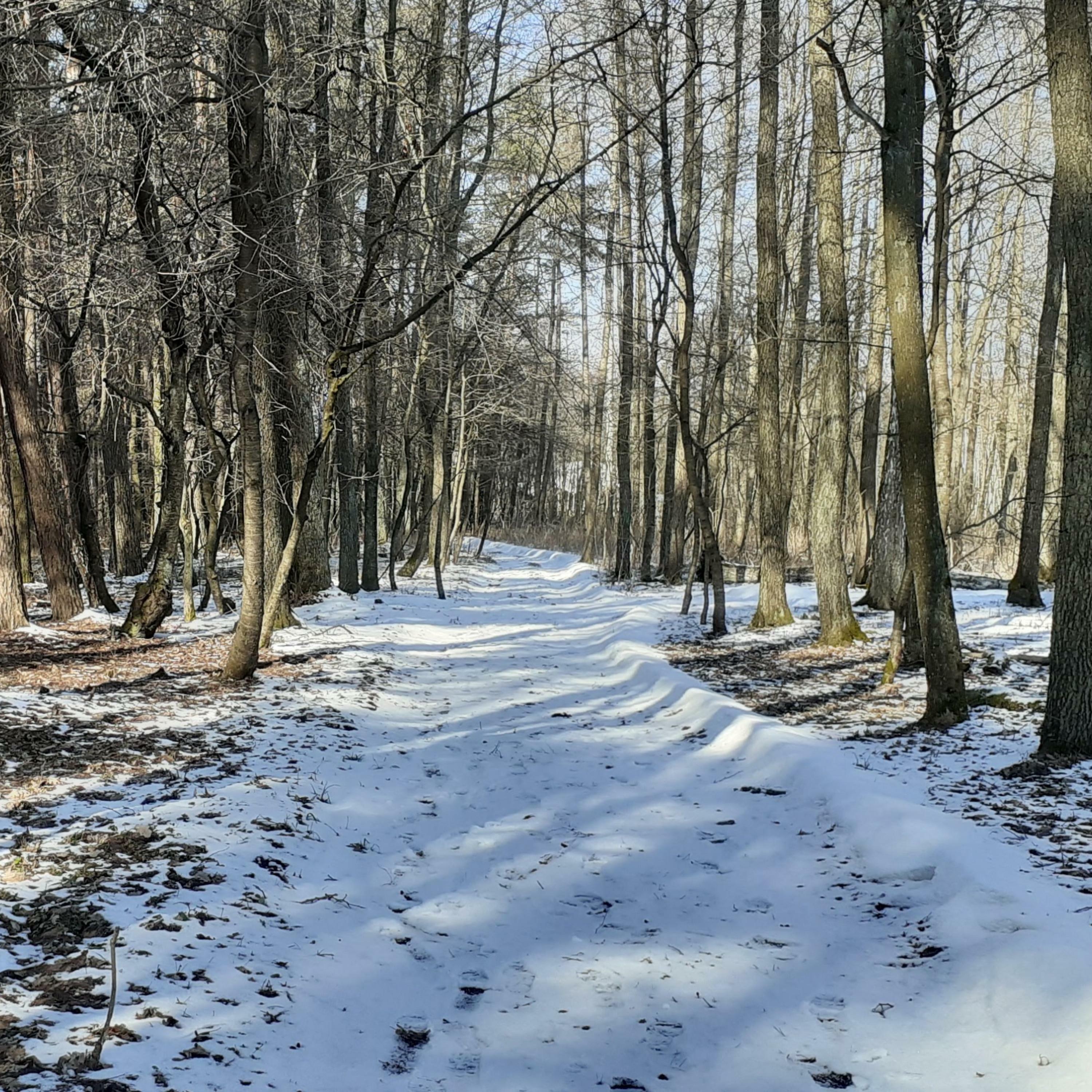 Track Image