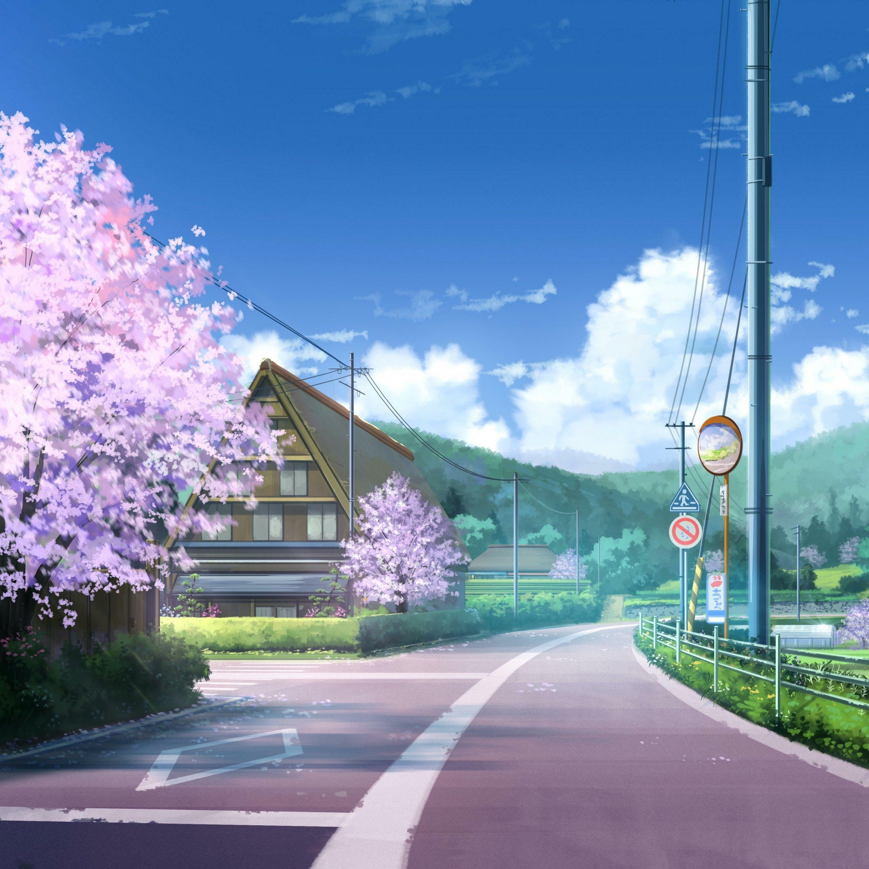 Track Image
