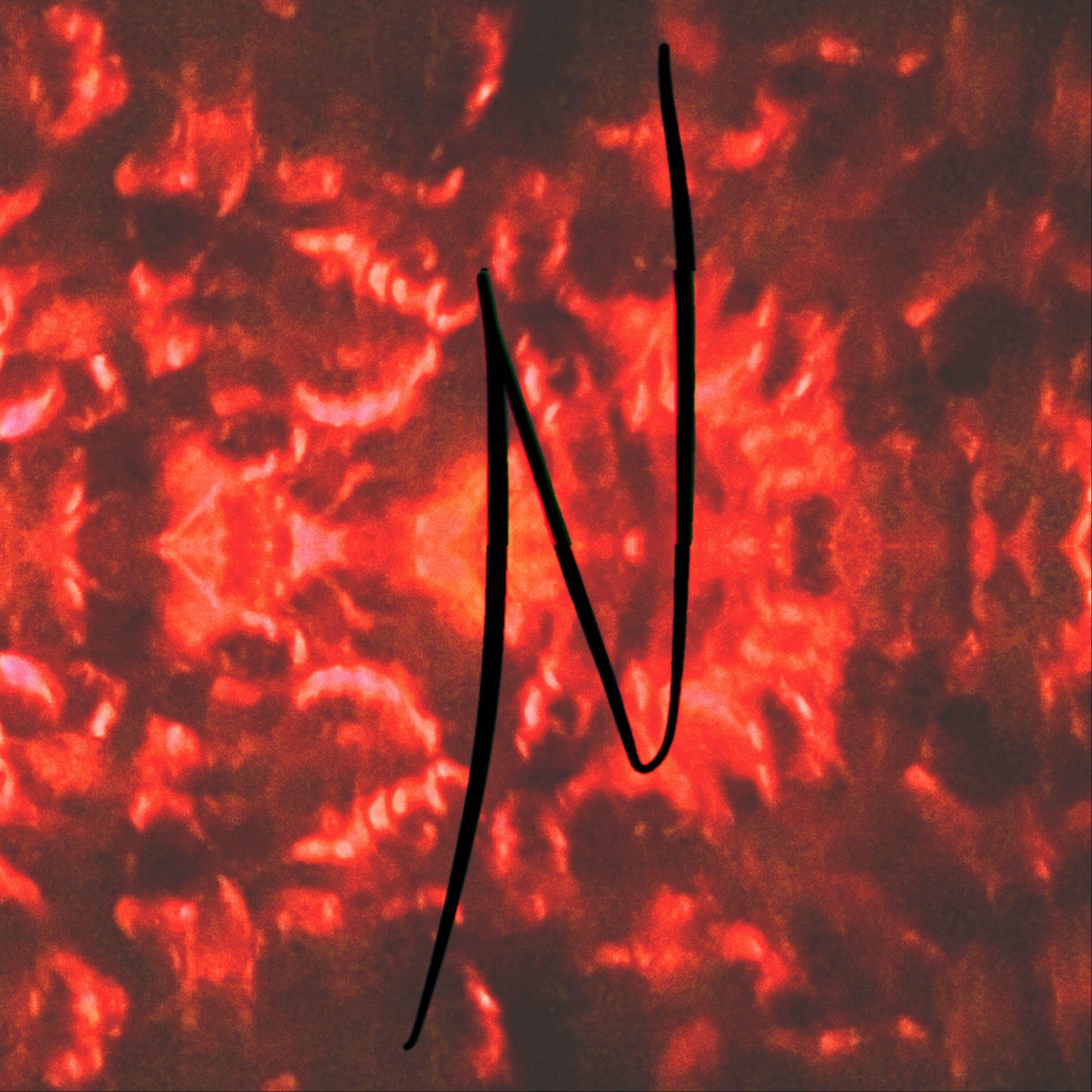 Track Image