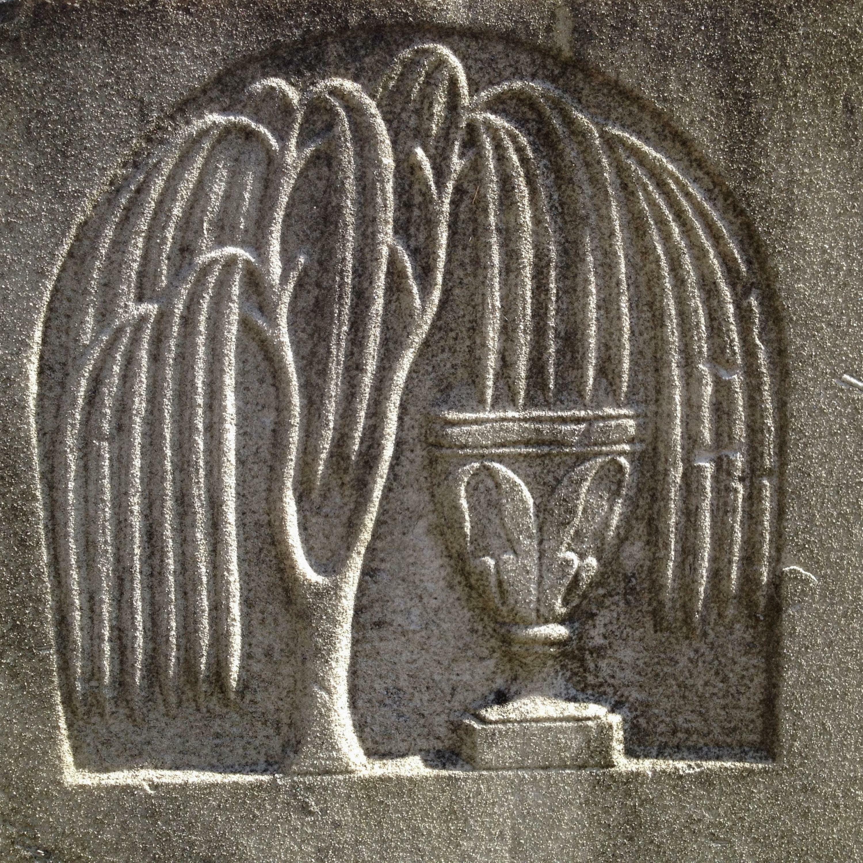 Track Image