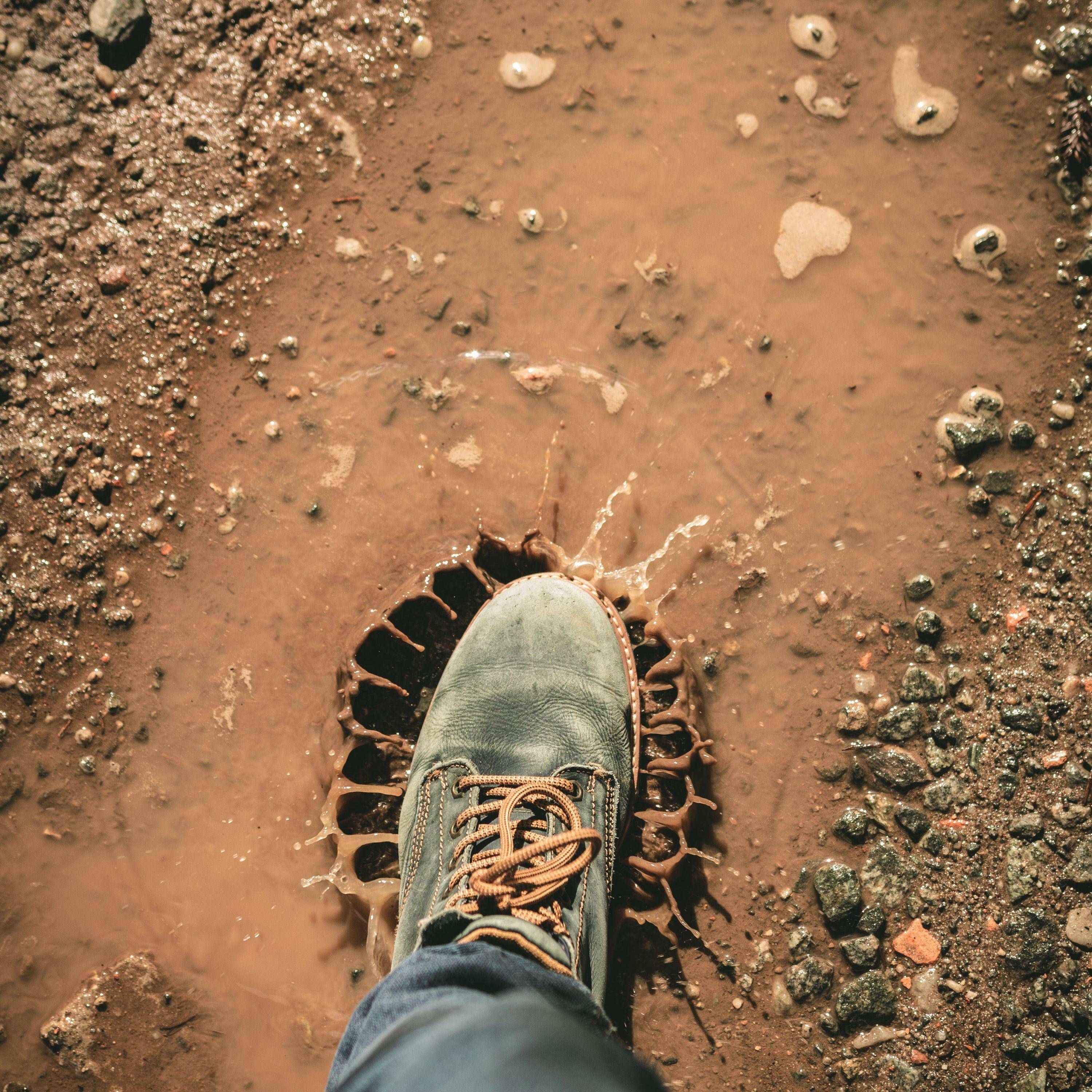 Track Image