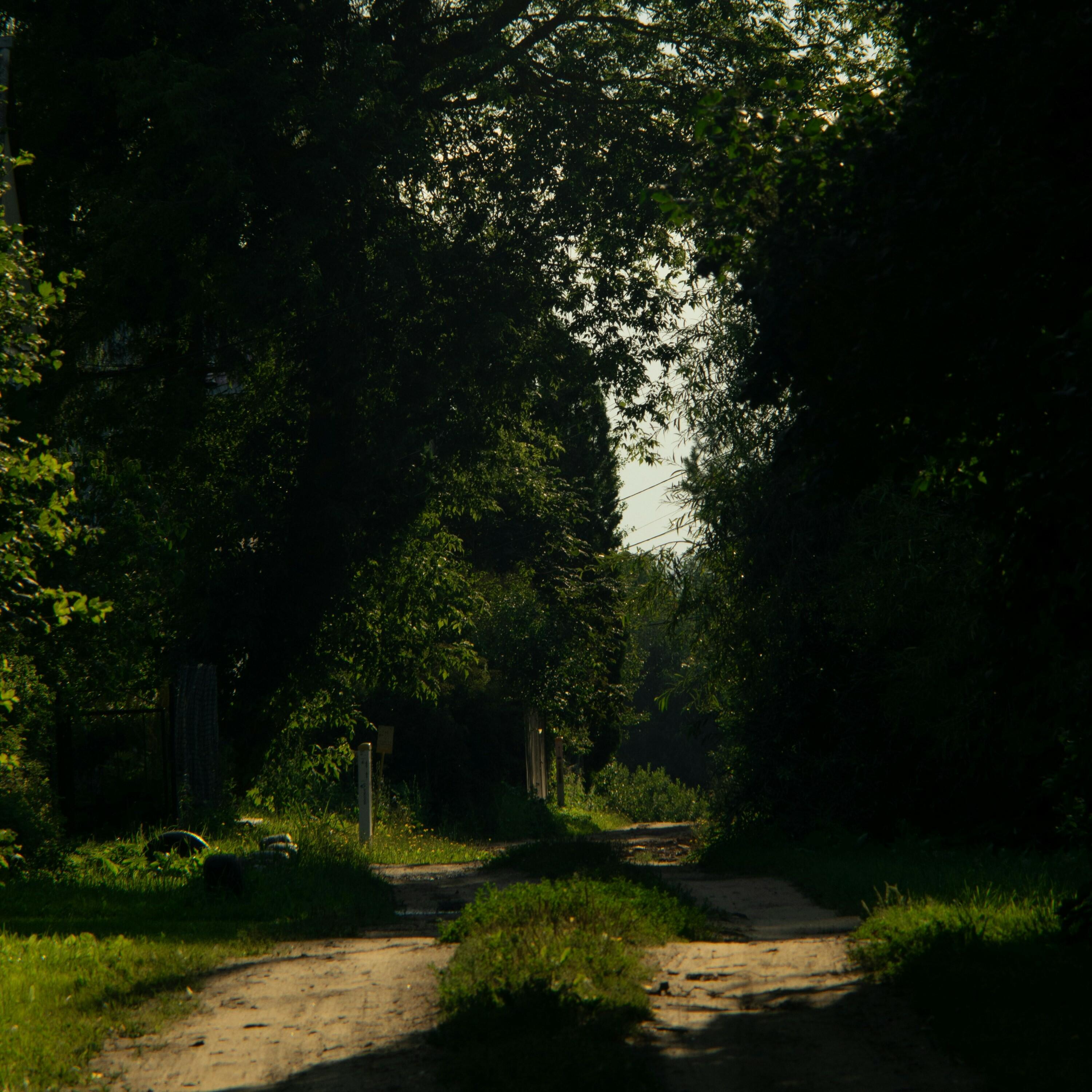 Track Image