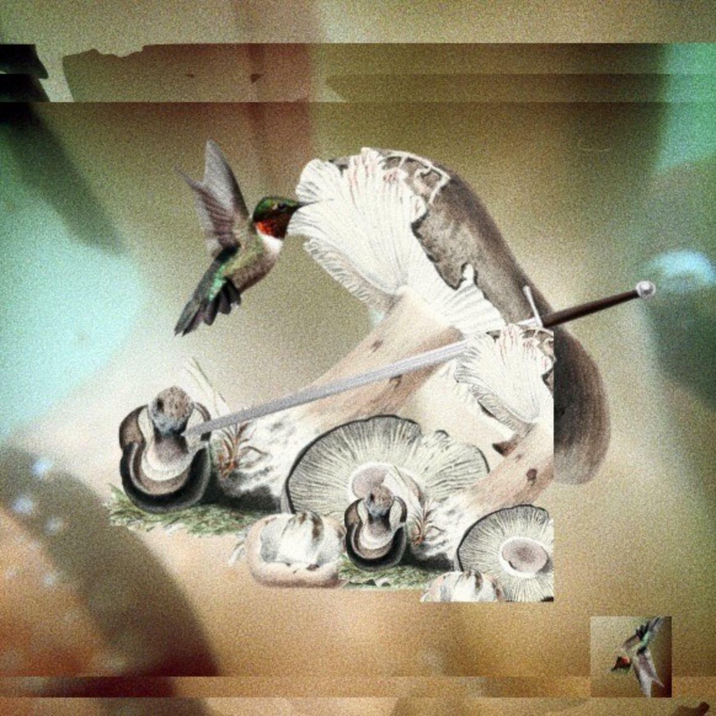 Track Image