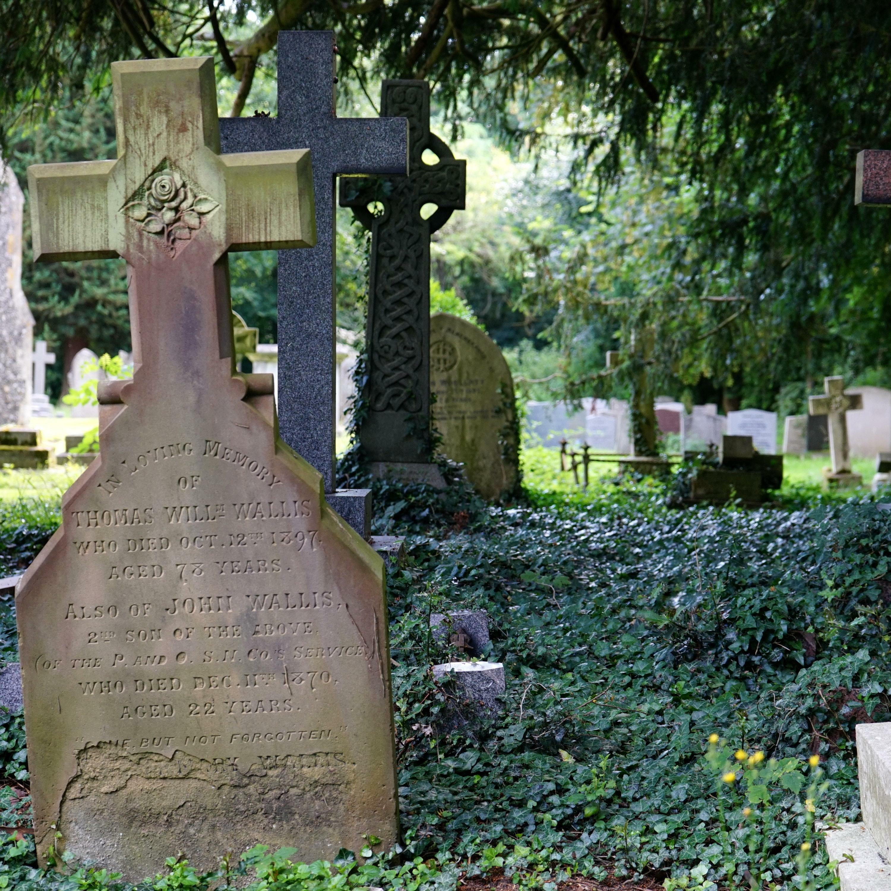 Track Image