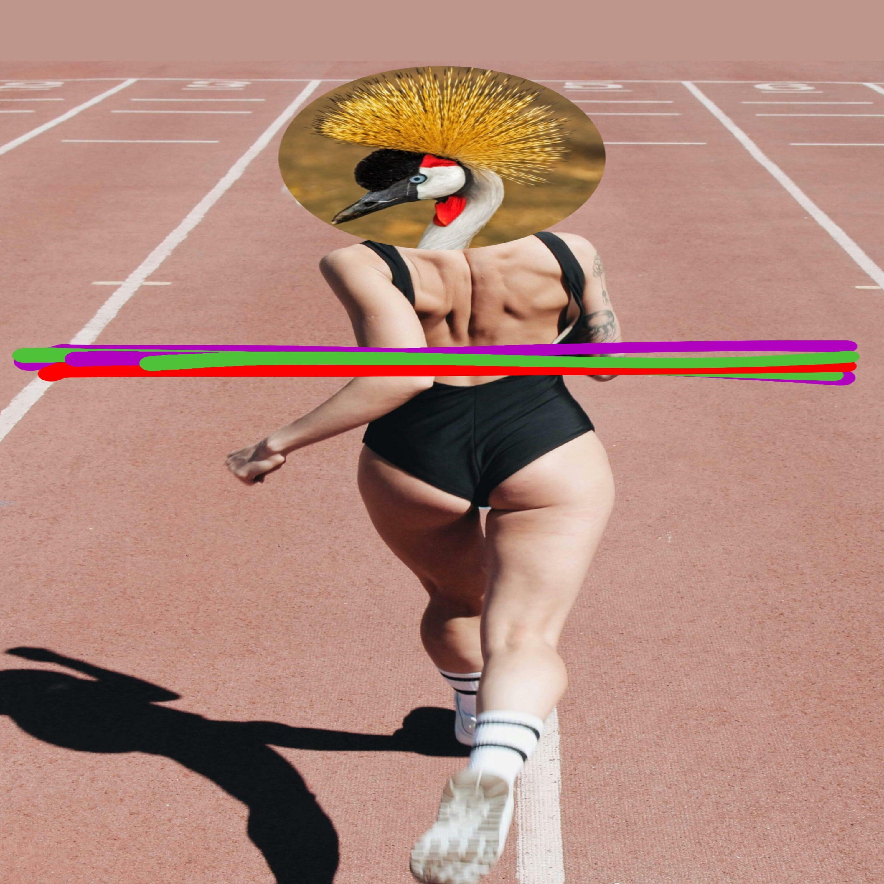 Track Image