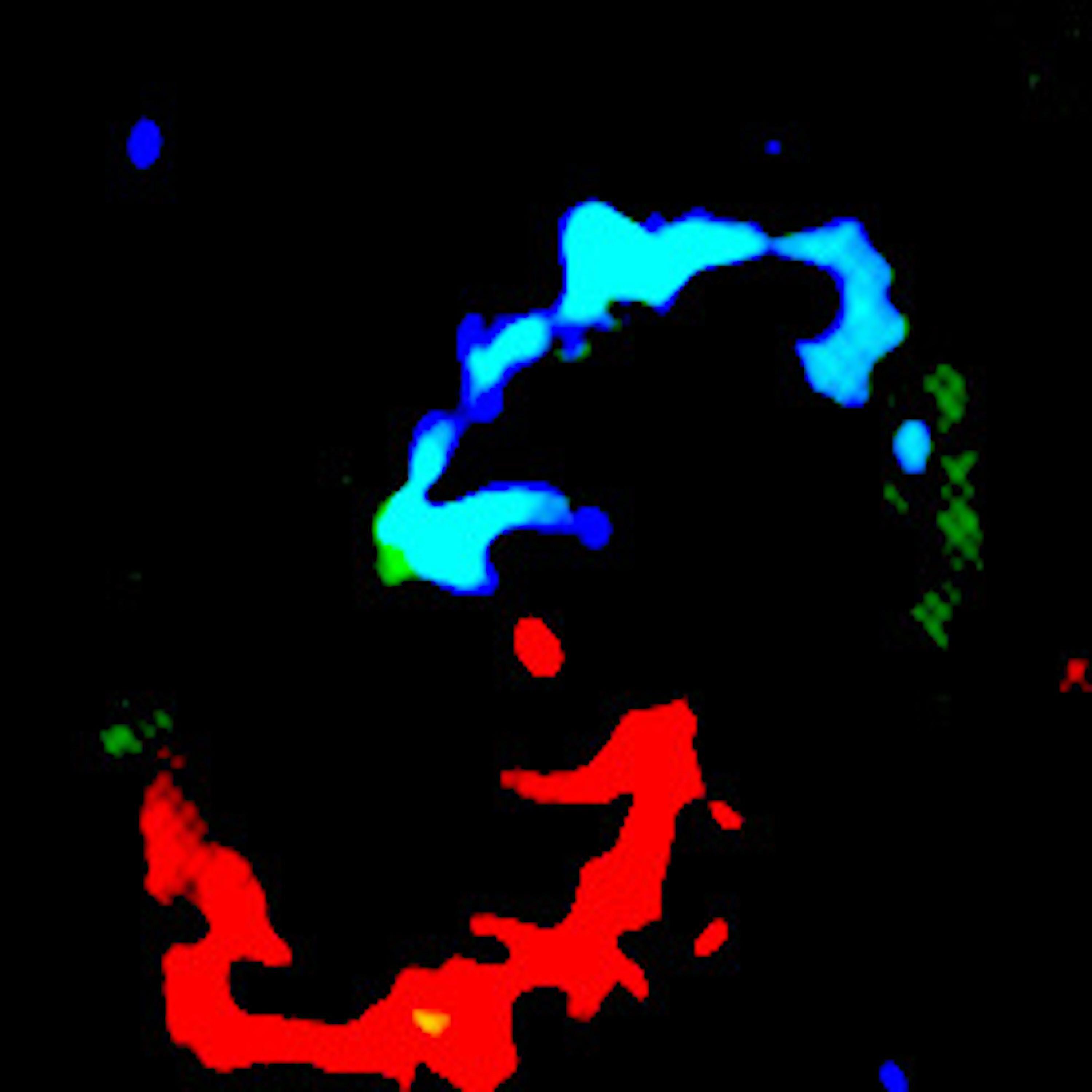 Track Image