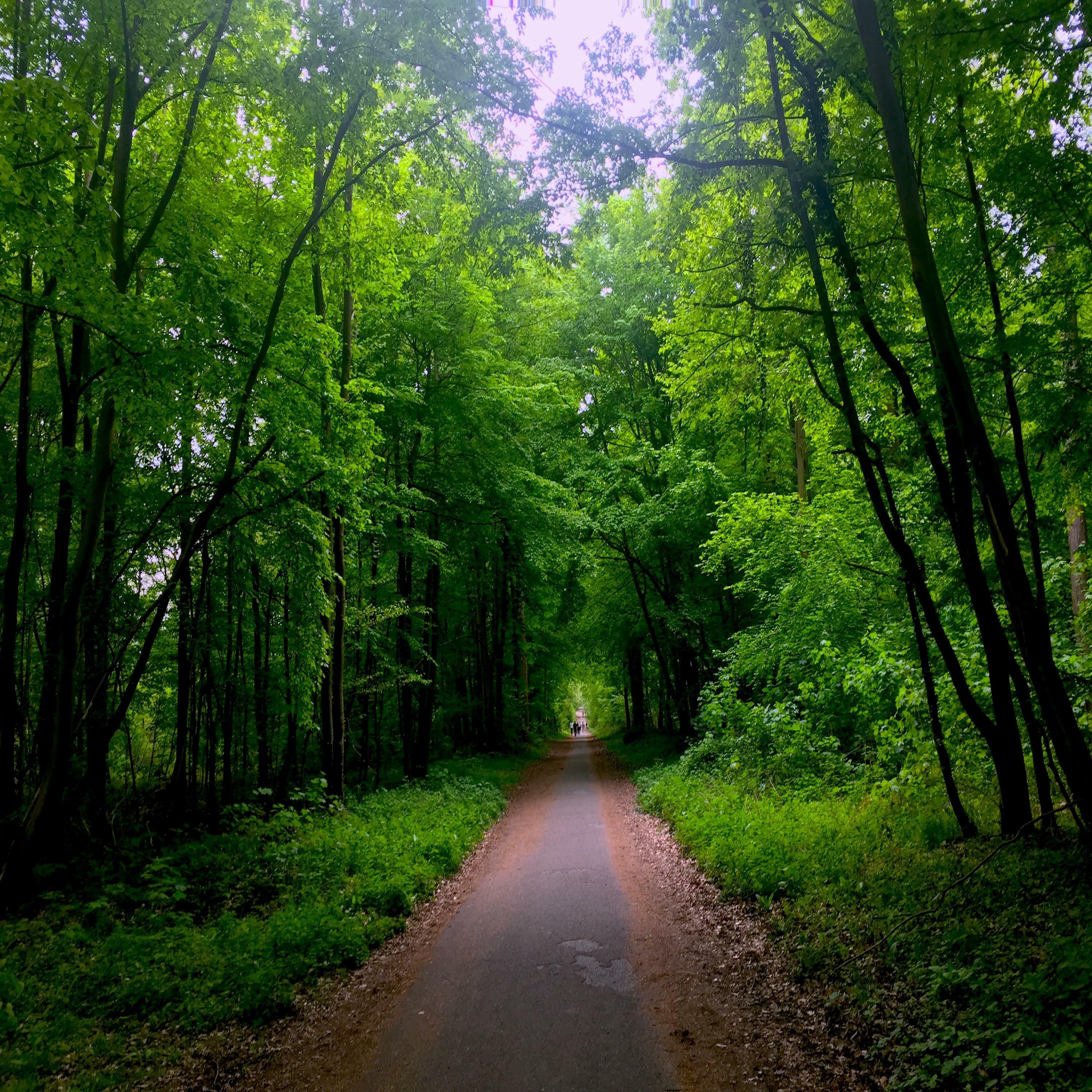 Track Image