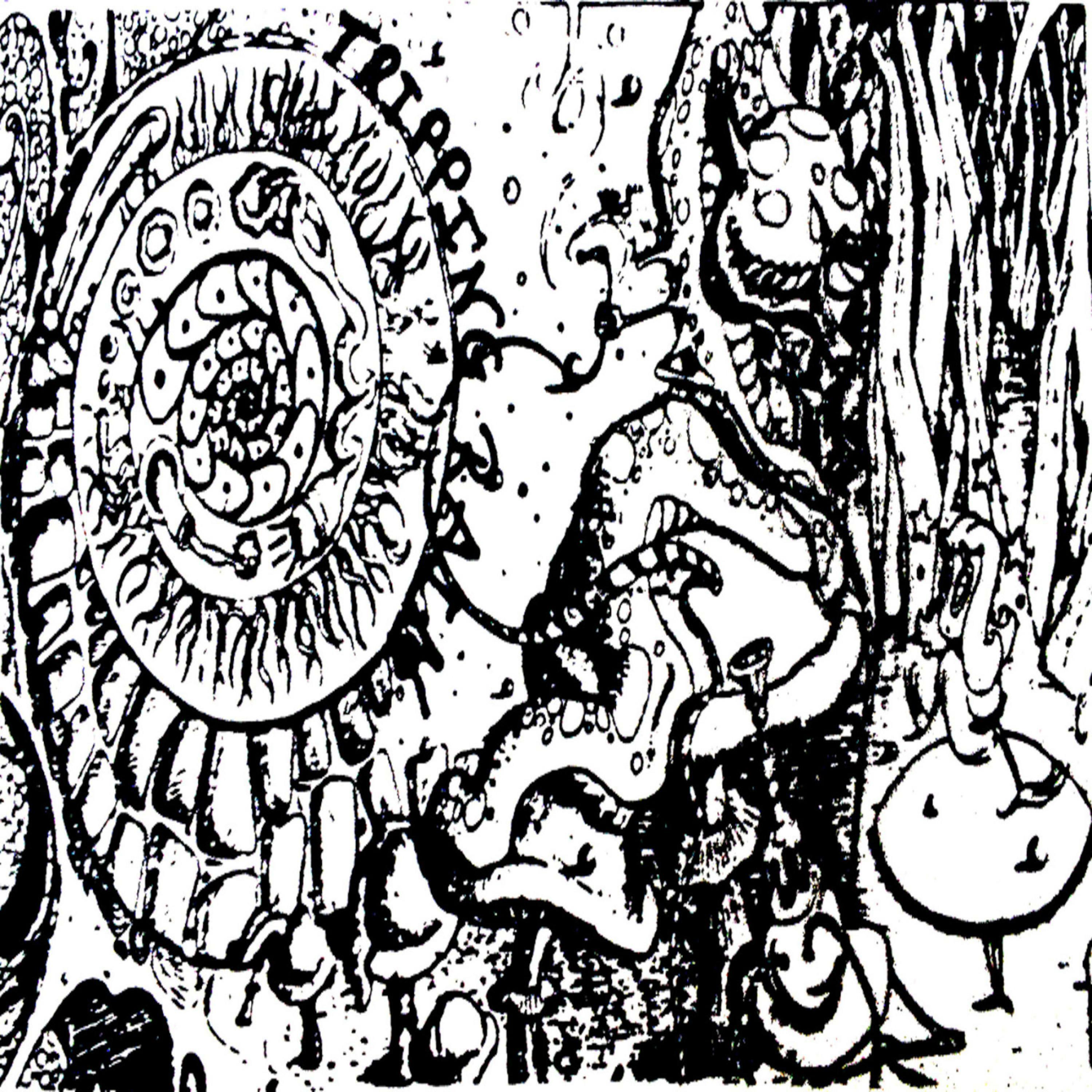 Track Image