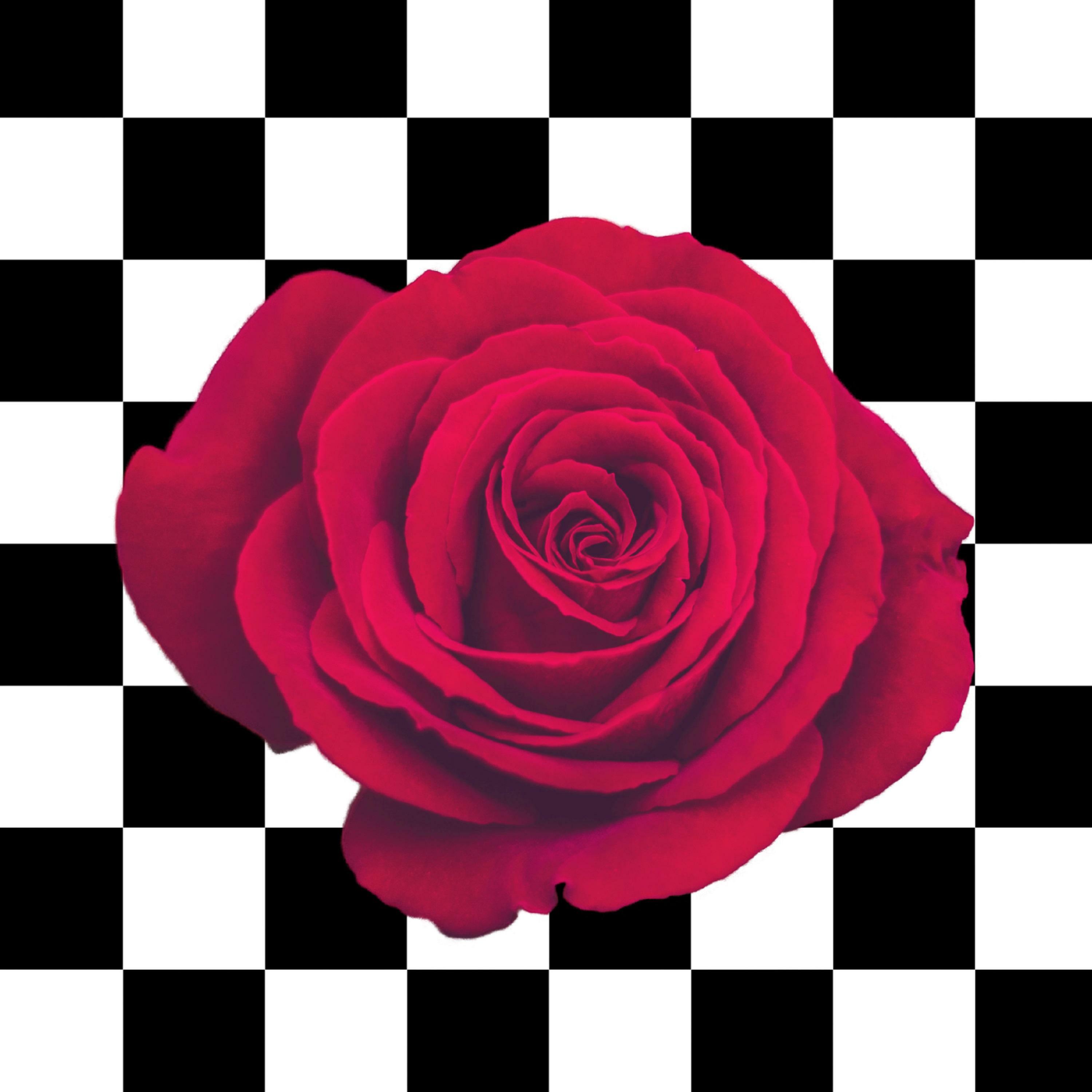 Track Image