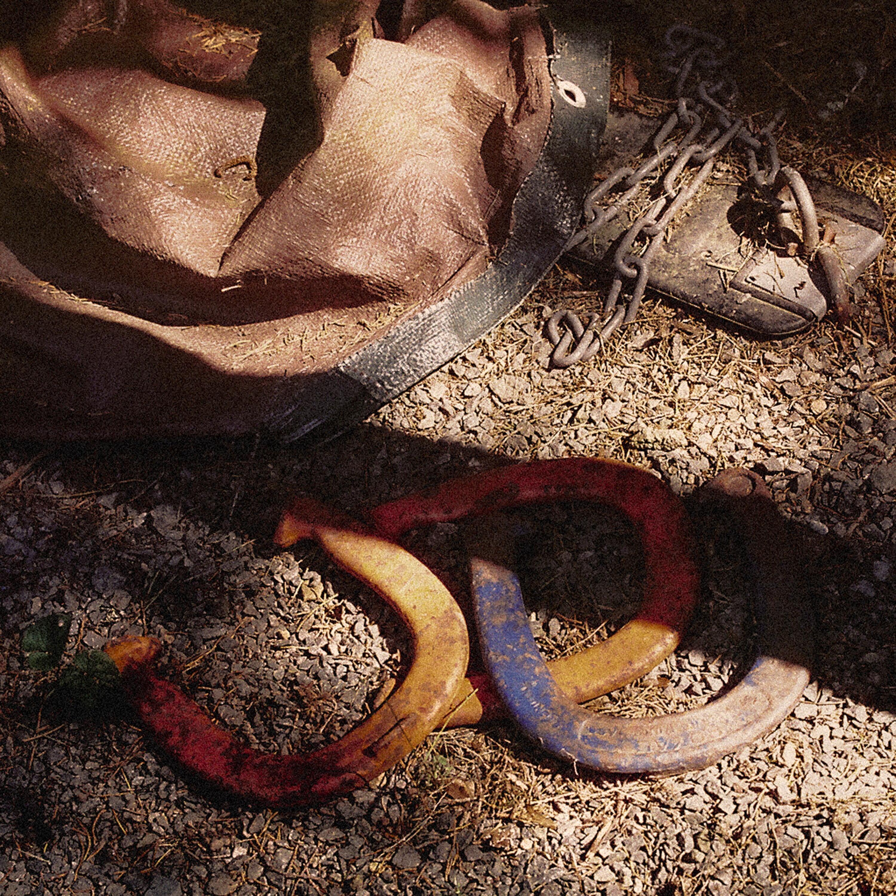 Track Image