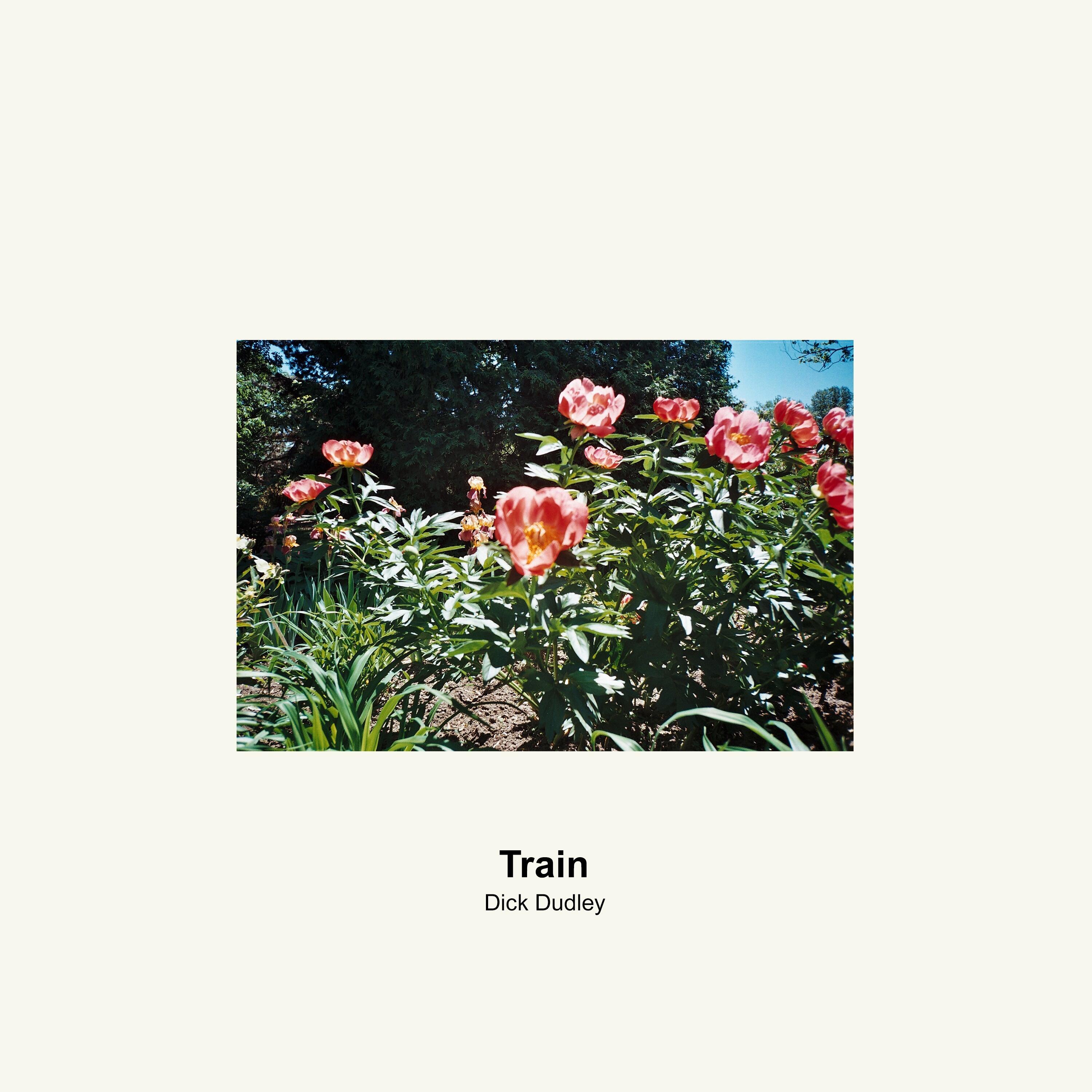 Track Image