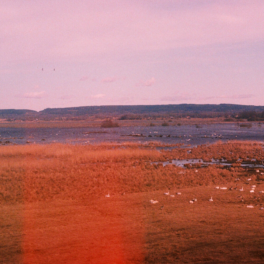 Track Image