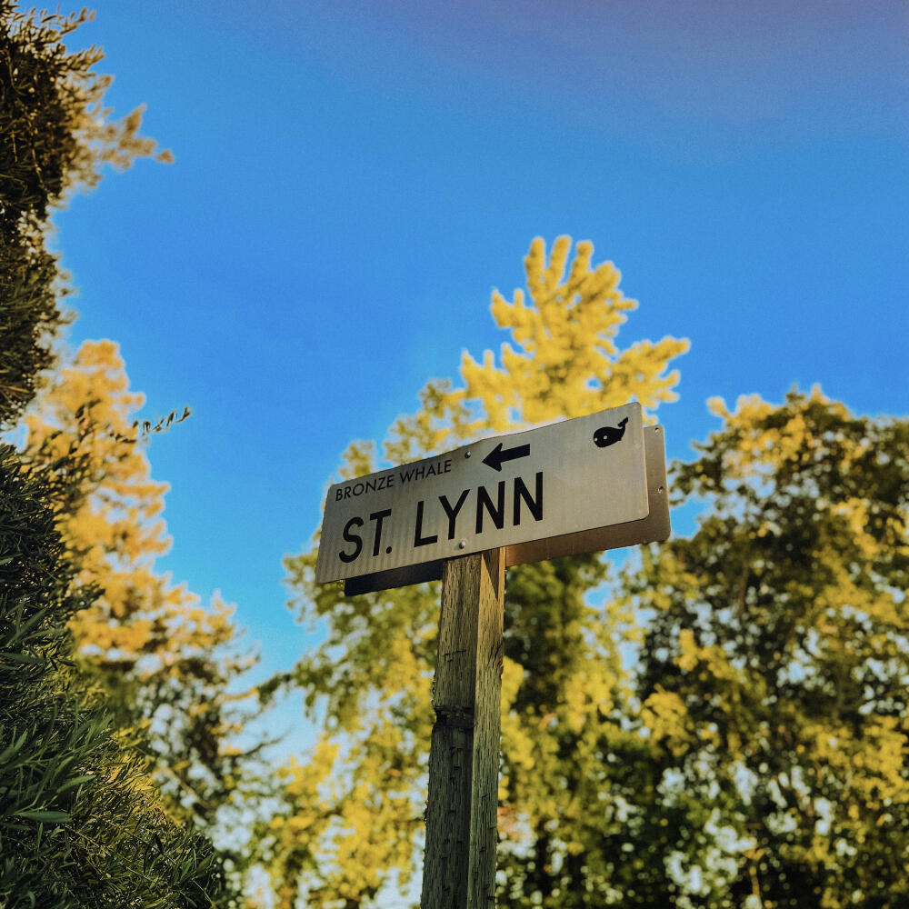 Track Image