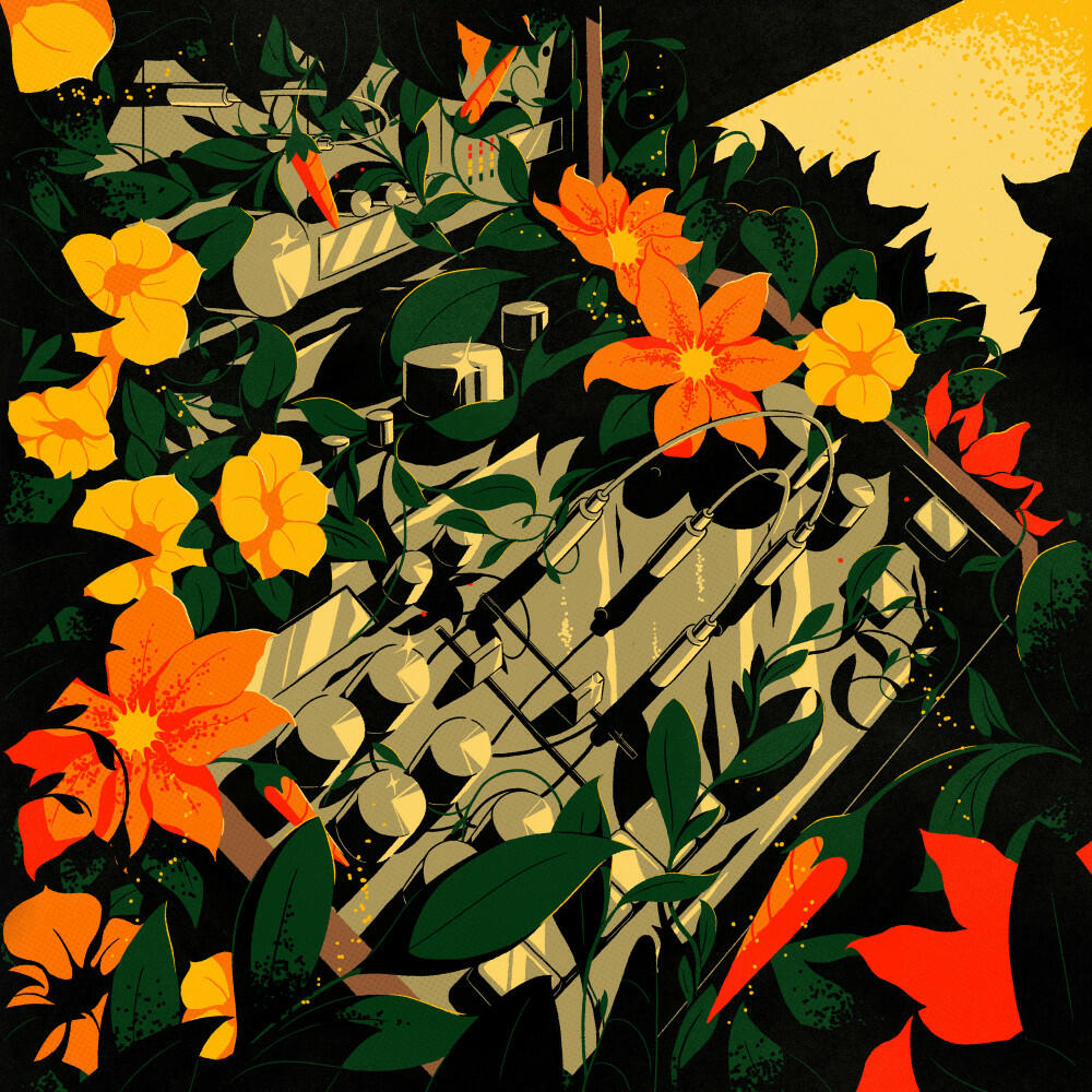 Track Image