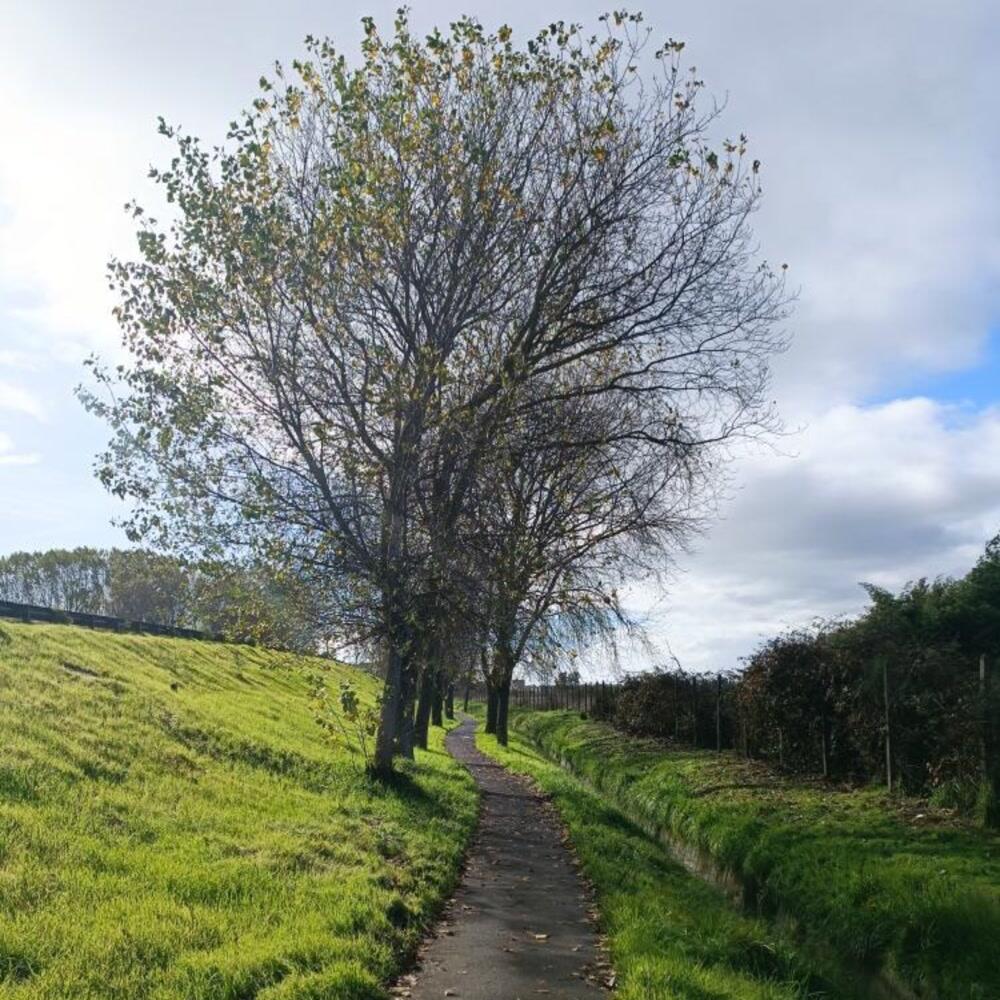 Track Image